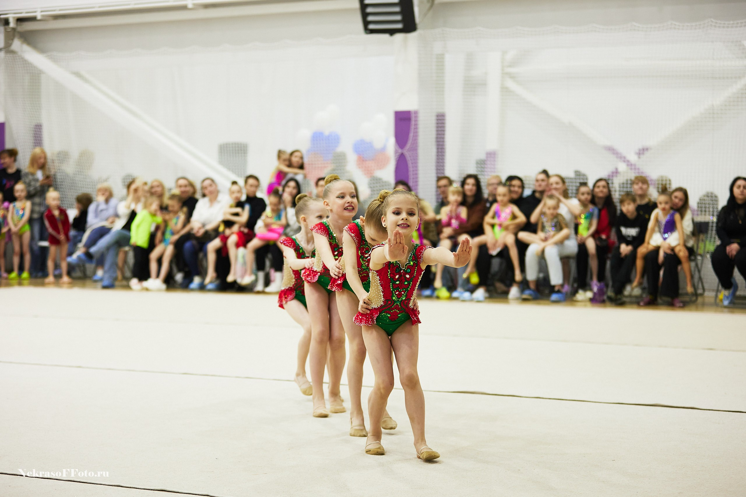 Художественная гимнастика. Спортивный фотограф Некрасов Денис