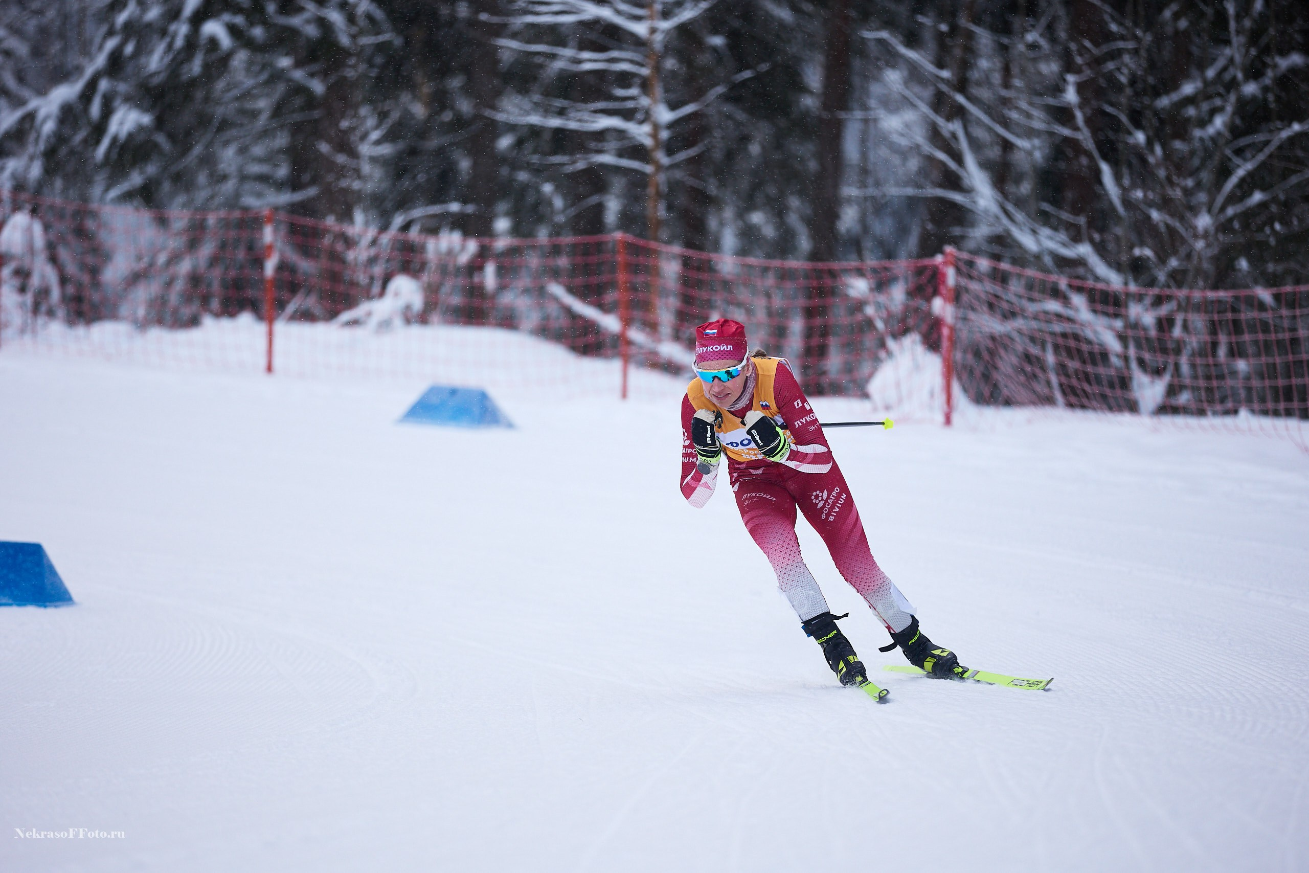Кубок России по Лыжным гонкам. Спортивный фотограф Некрасов Денис