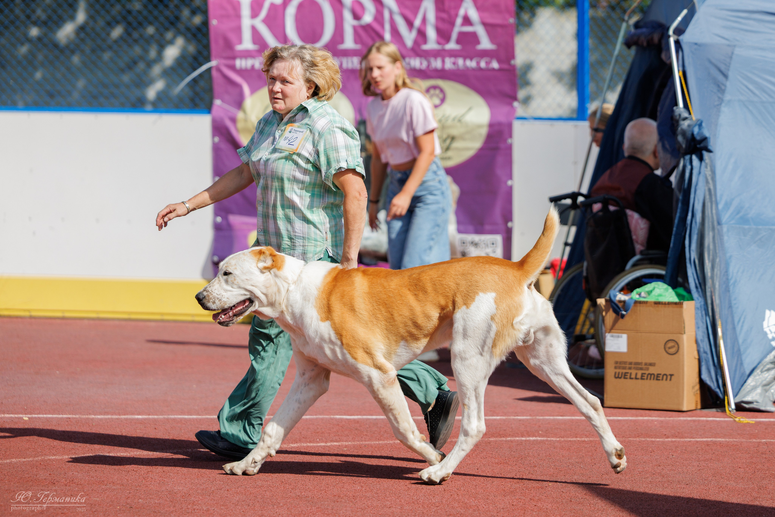 Коломна 30.08.2025. Фотограф-анималист Юлия Германика