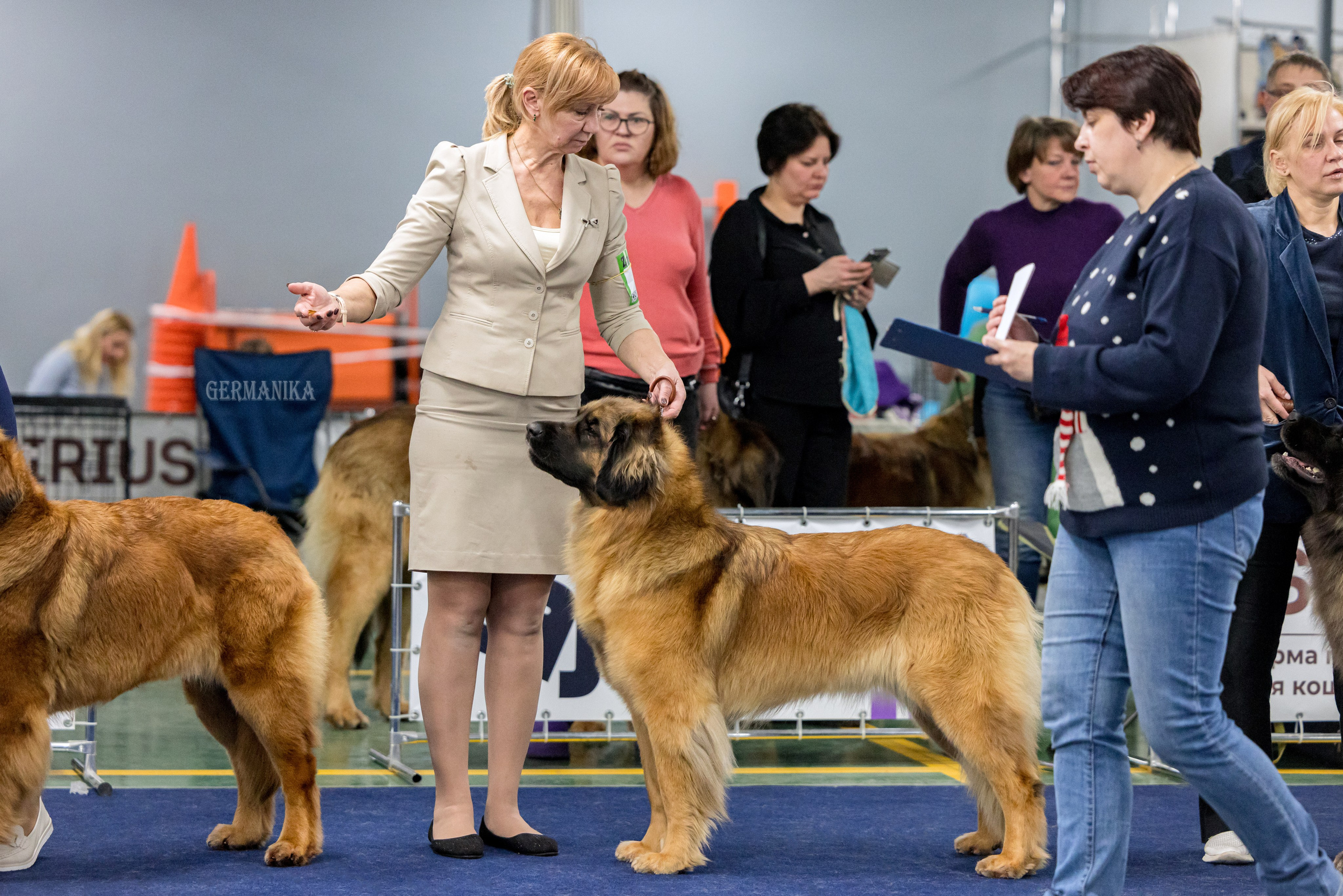 Сфера 28.01. и 4.02.2024. Фотограф-анималист Юлия Германика