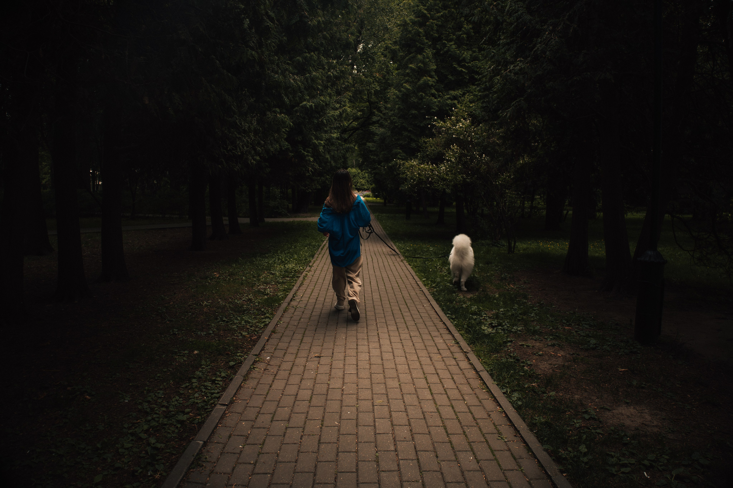 Прогулочная фотосессия девушки в парке с собакой самоедом. Фотограф-анималист в Москве Екатерина Тихонова