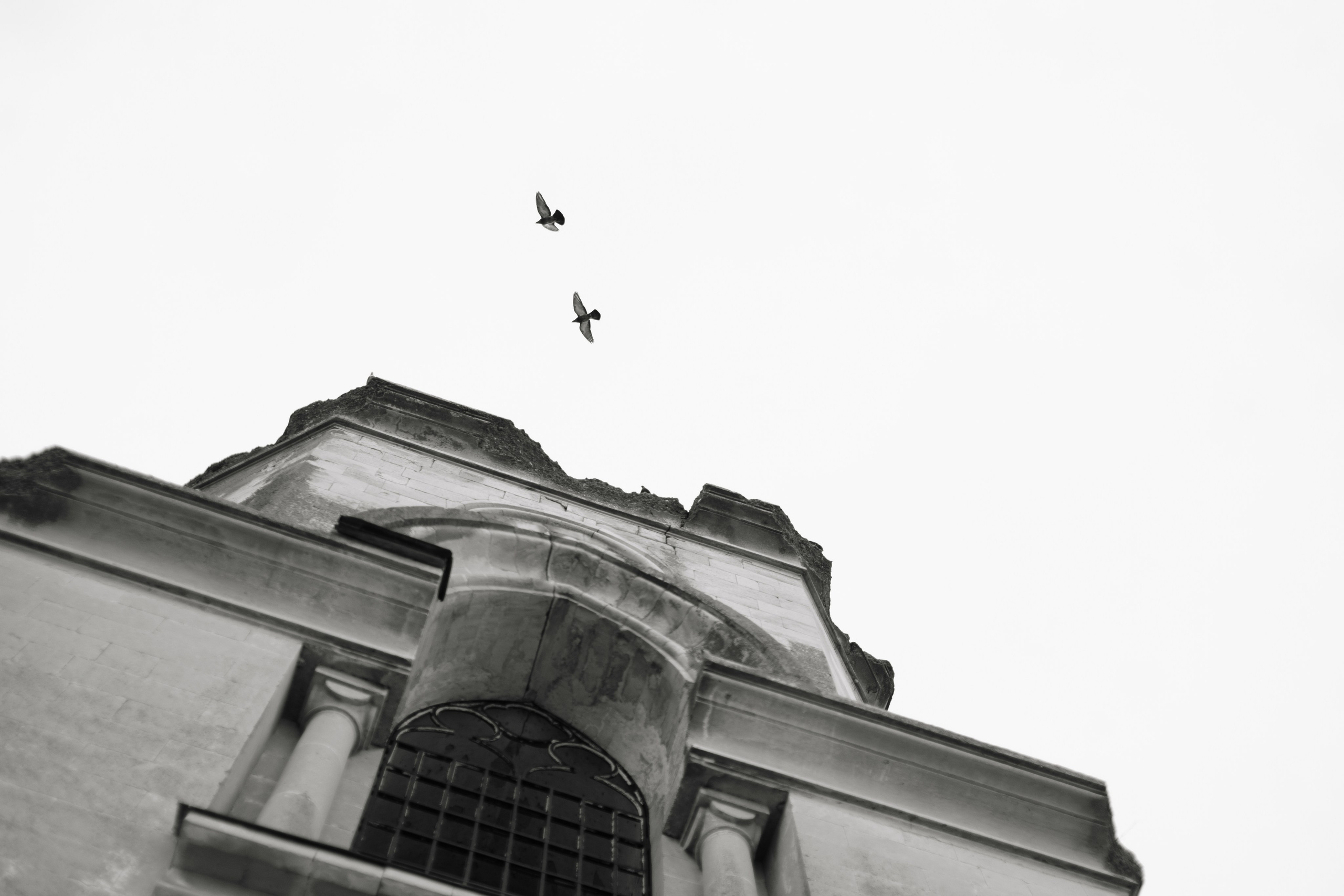 Сергей & Елена «Возрождение». Свадебный и портретный фотограф Алена Седининна в Крыму