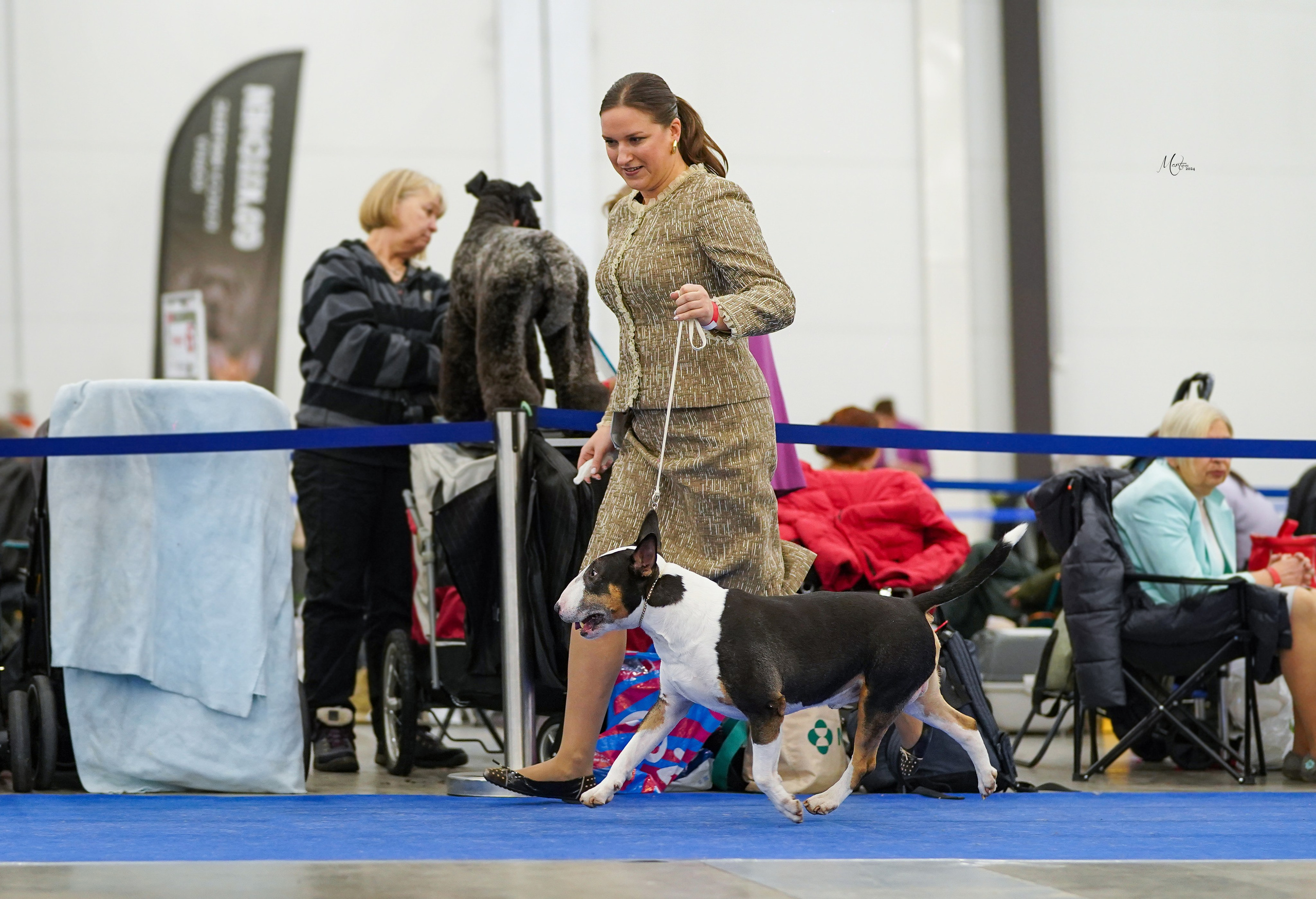 Выставки 2024. Фотограф-анималист в Санкт-Петербурге Яна Мартынова