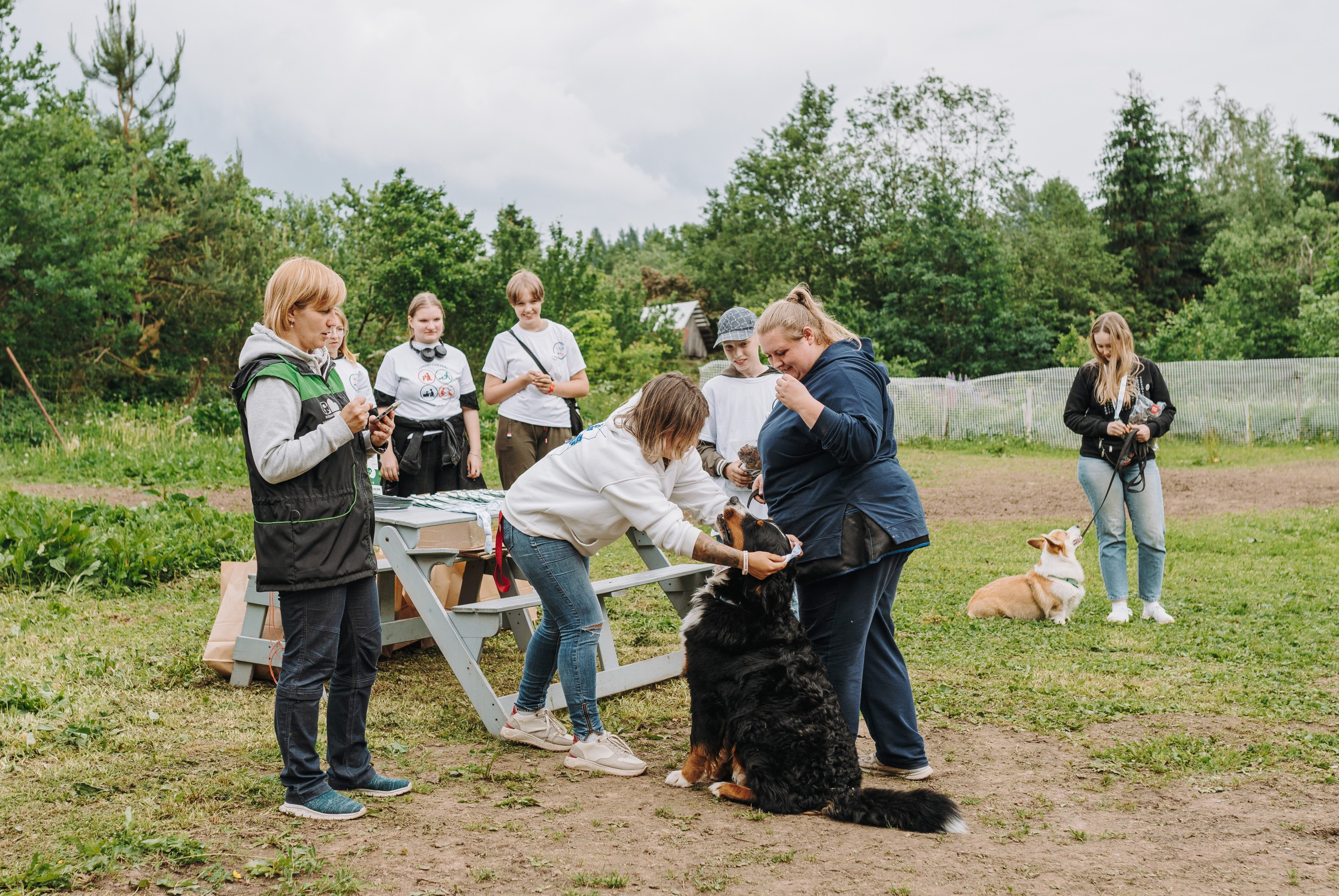 Соревнования по ноузворку. Фотограф анималист в Спб недорого Олеся Майорова
