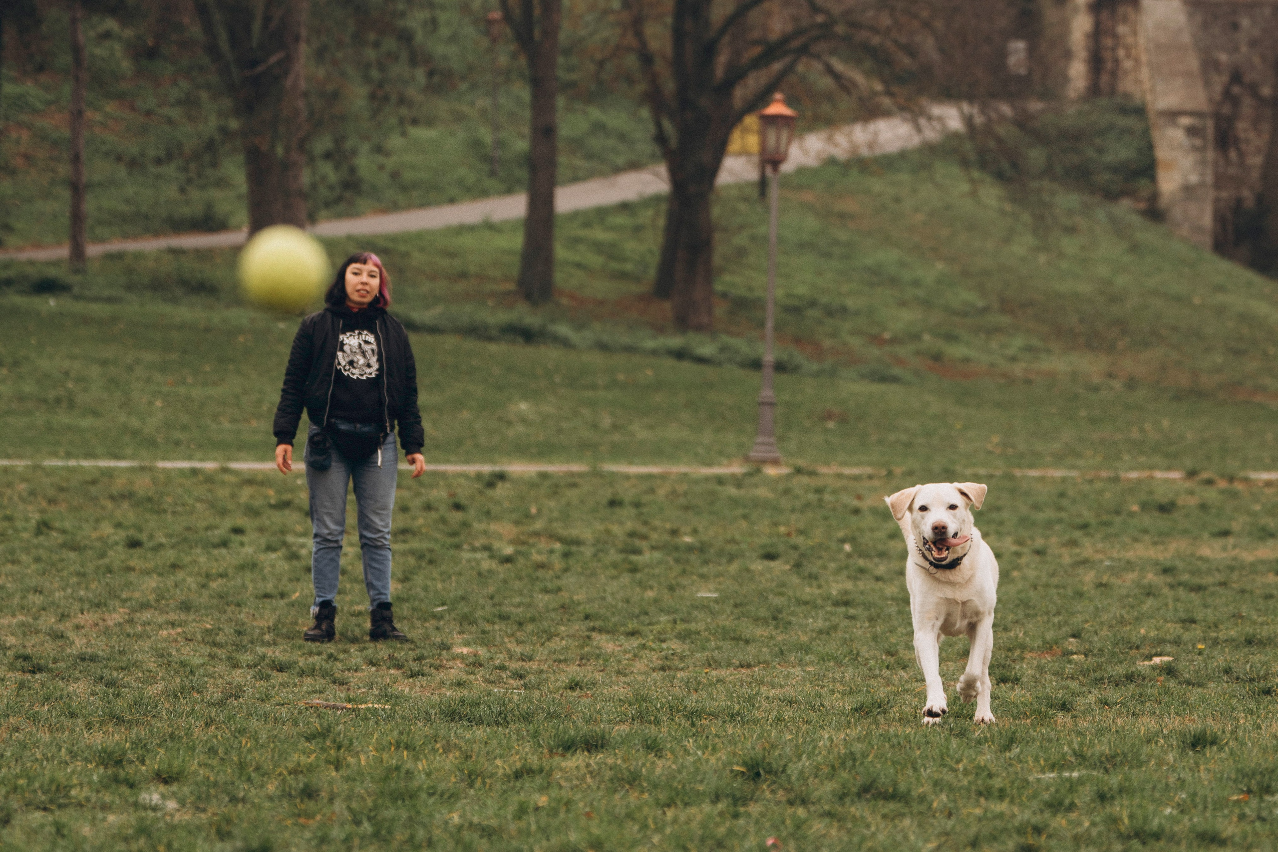 Вати, Лена и Леван. Фотограф анималист в Спб недорого Олеся Майорова