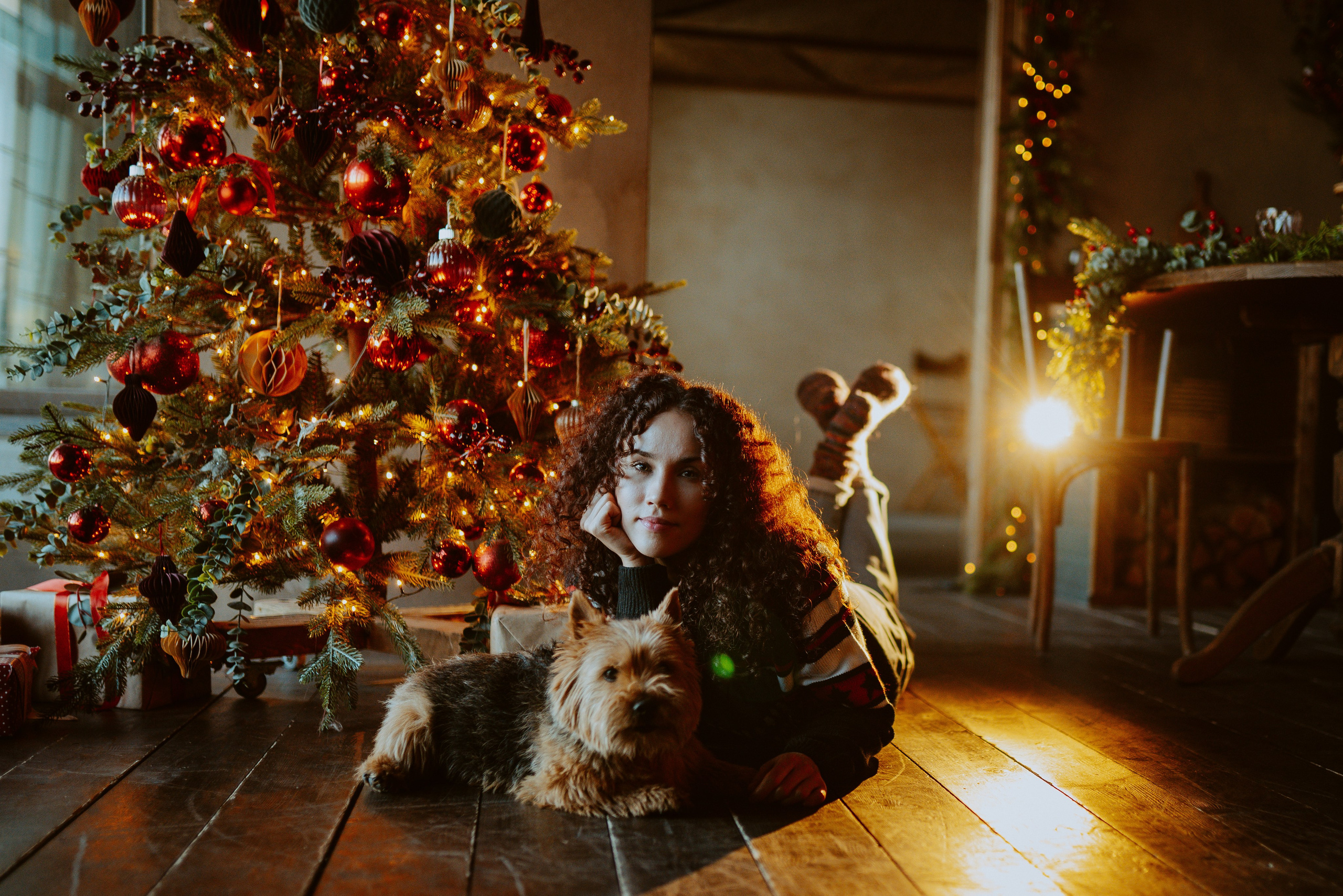 Фотосессия с собакой в студии. Фотограф анималист в Спб недорого Олеся Майорова