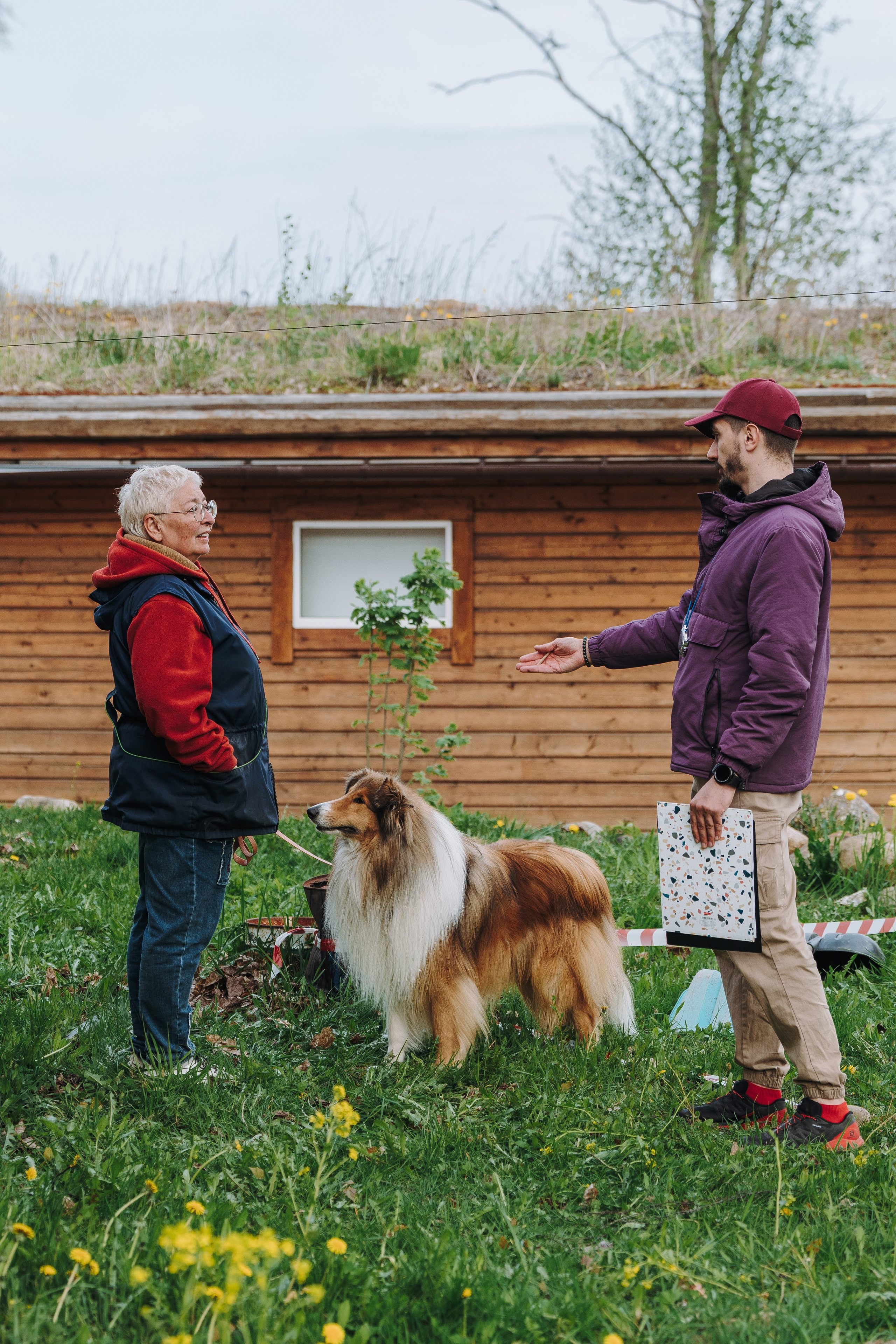 Соревнования по ноузворку в Лосево. Фотограф анималист в Спб недорого Олеся Майорова