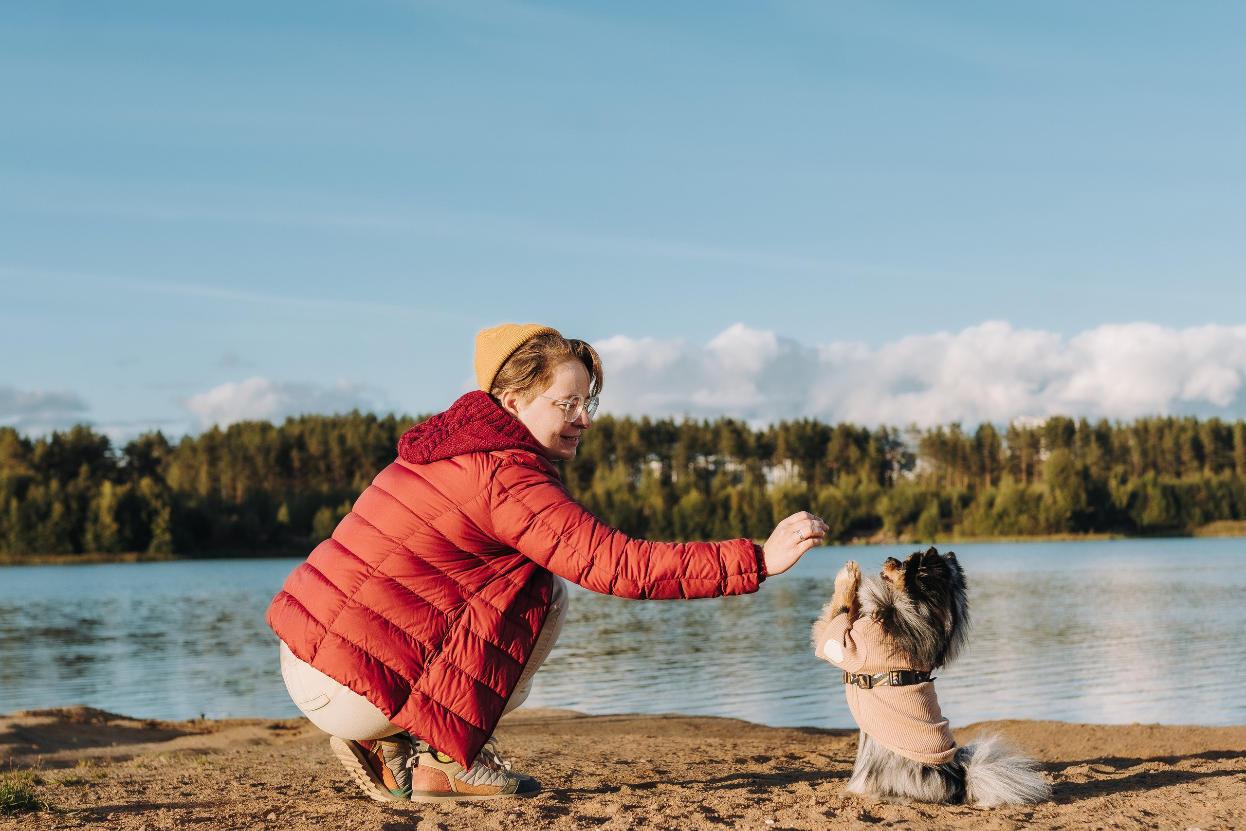 Семейная фотосессия с двумя собаками на закате. Фотограф анималист в Спб недорого Олеся Майорова