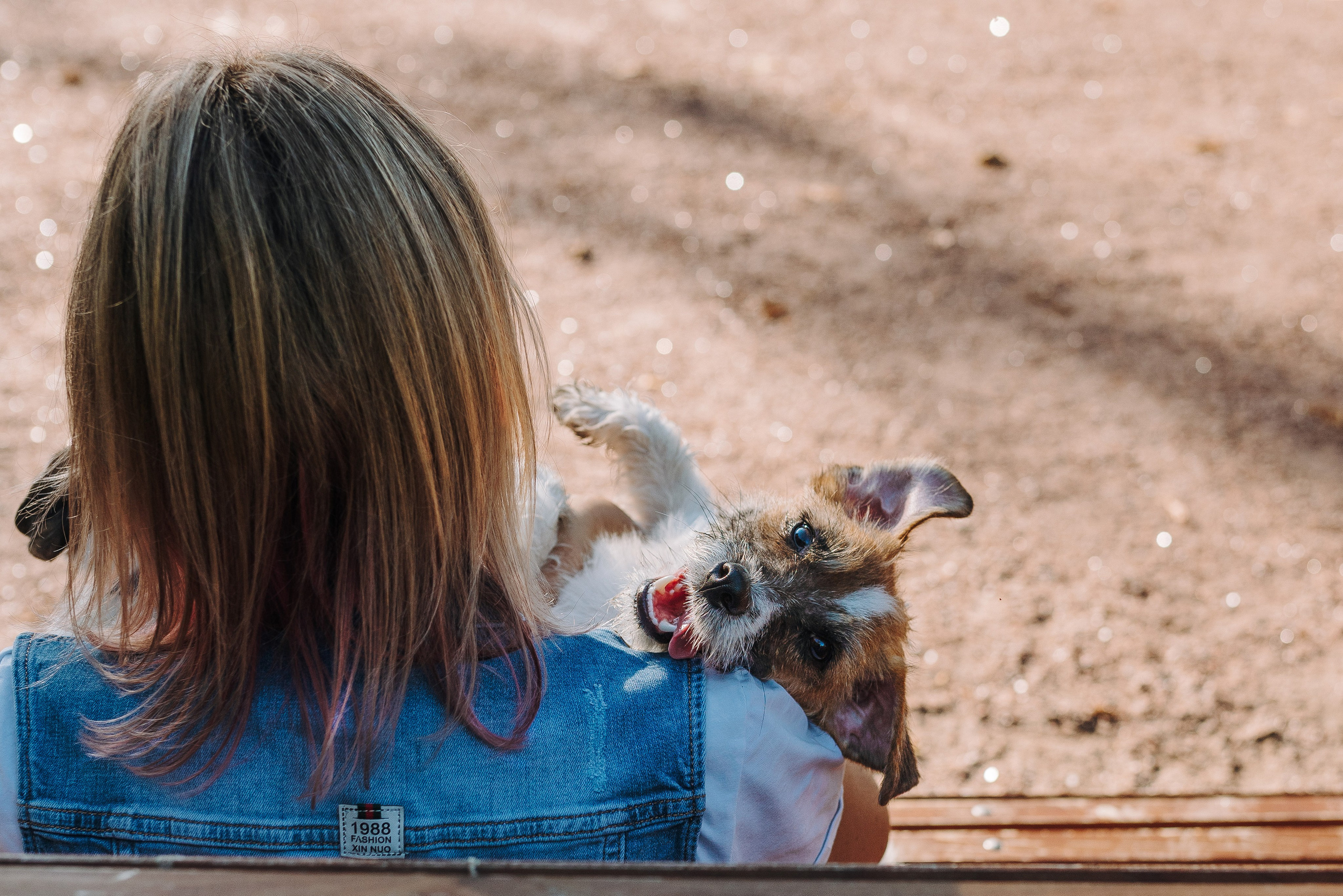 Ларс, Лукас и Ольга. Фотограф анималист в Спб недорого Олеся Майорова