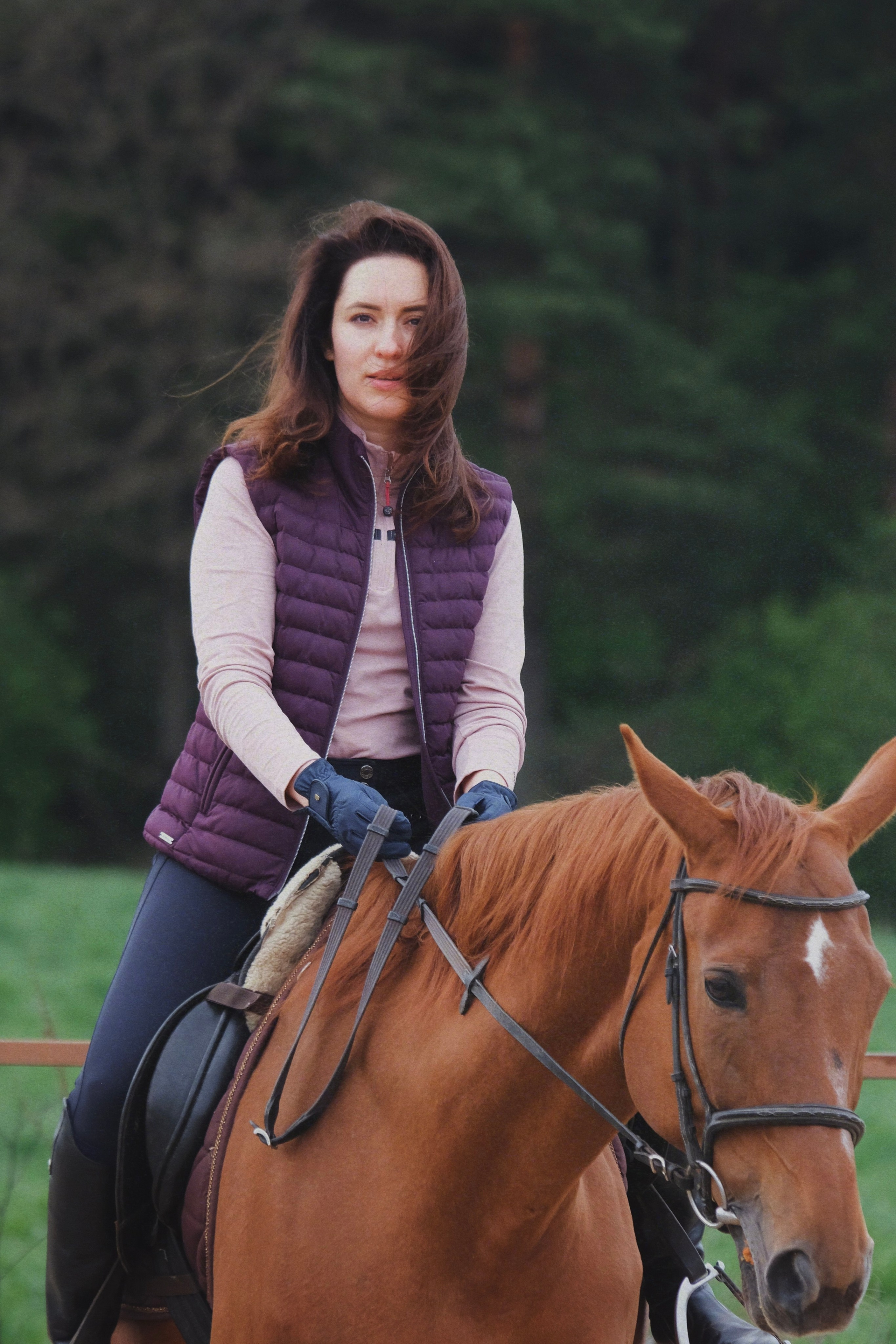 Питомцы. Татьян гертье