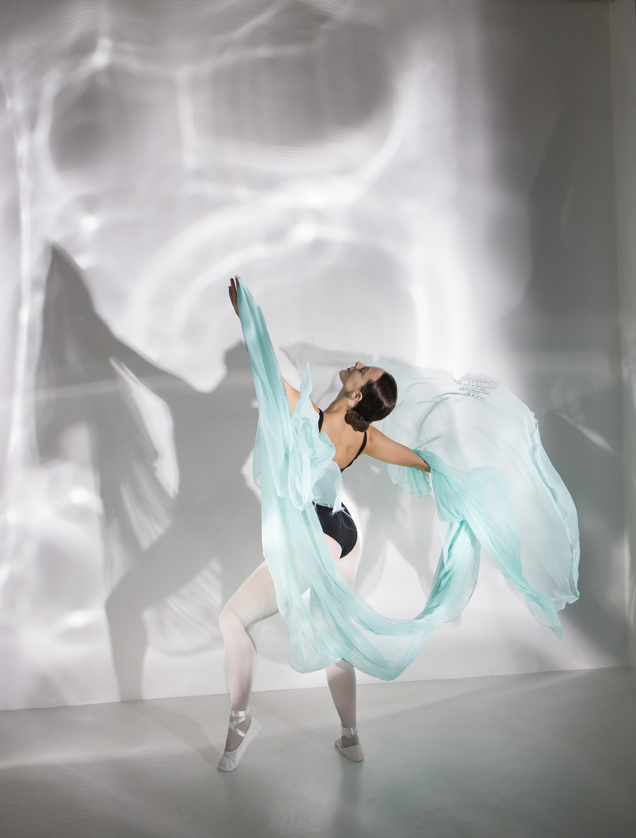 Лилия. Художественная фотография