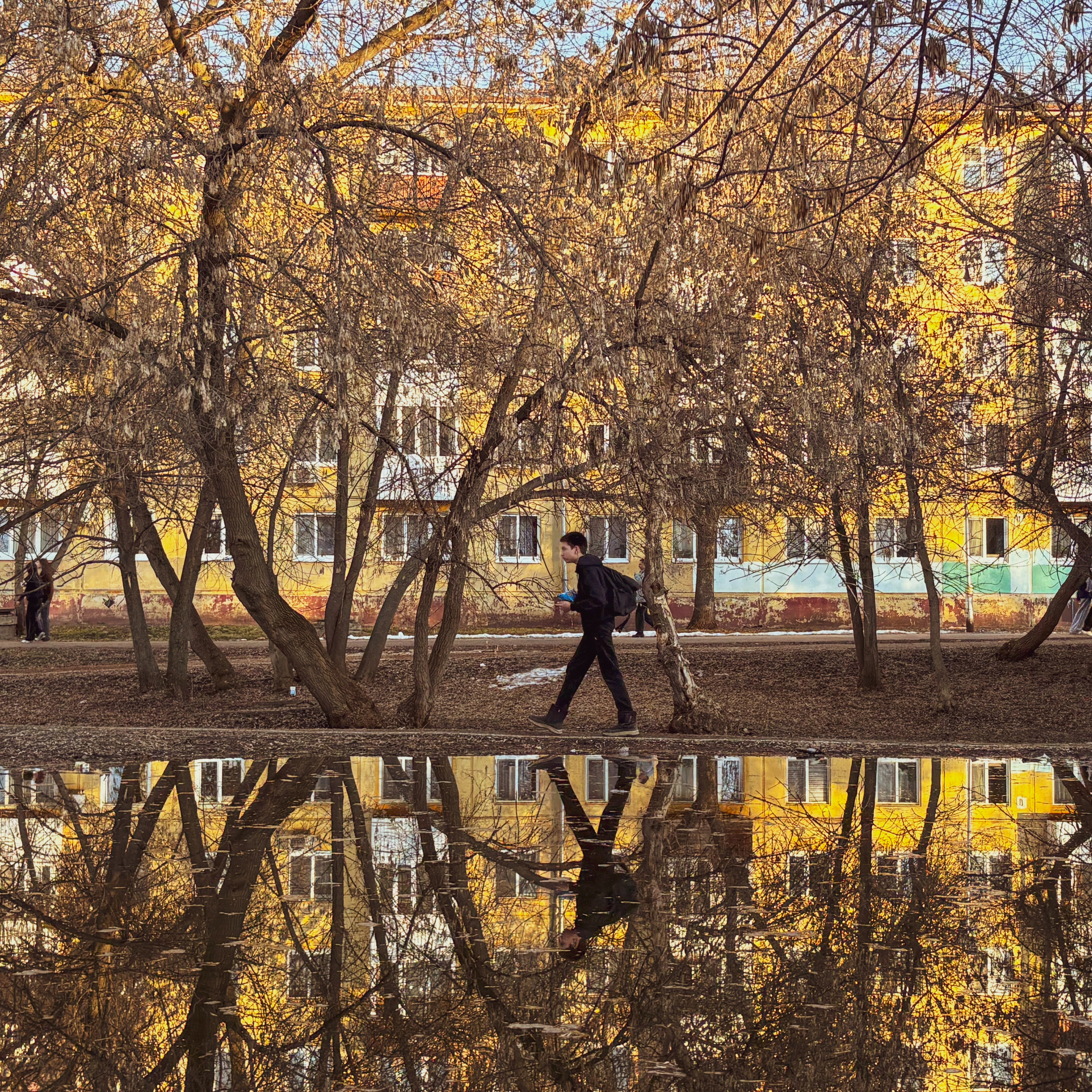 Отражение в луже
