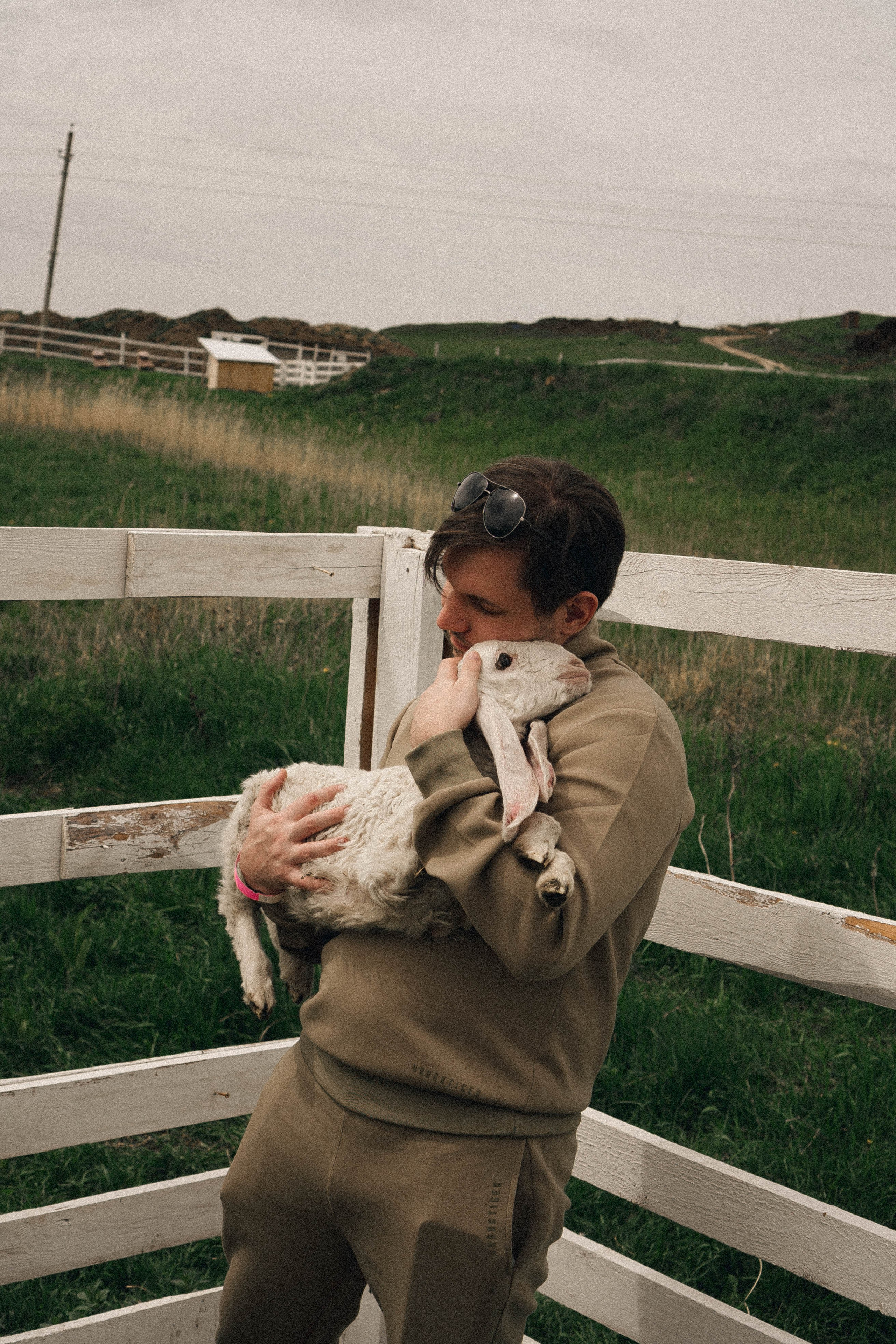 Ферма Альпак. Профессиональный фотограф, Санкт-Петербург — Виктория Богомолова