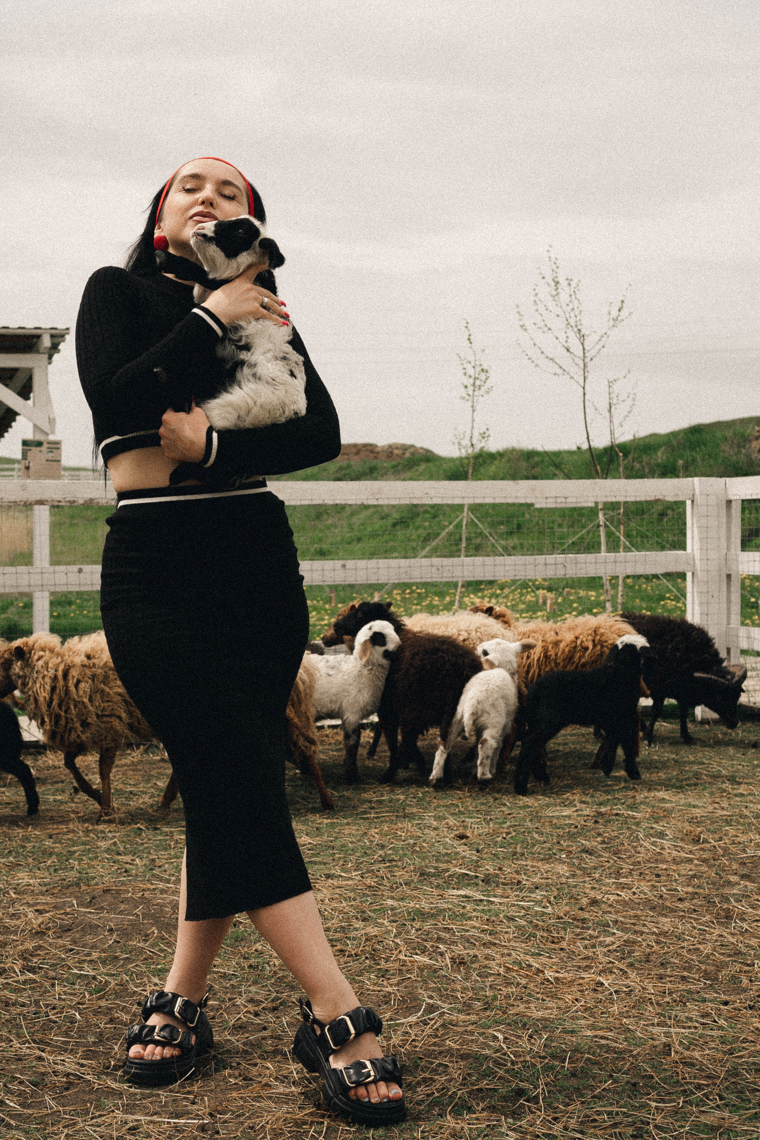 Ферма Альпак. Профессиональный фотограф, Санкт-Петербург — Виктория Богомолова