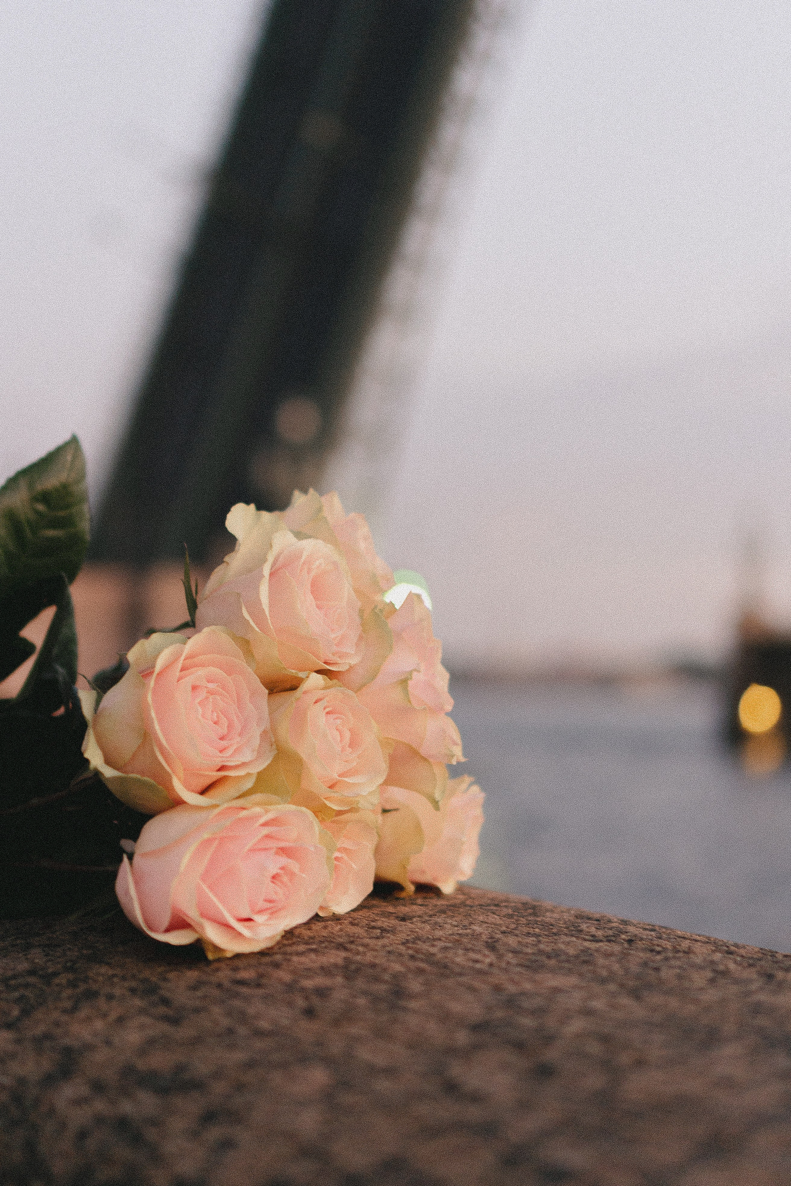 РАССВЕТНАЯ ИСТОРИЯ. Профессиональный фотограф, Санкт-Петербург — Виктория Богомолова