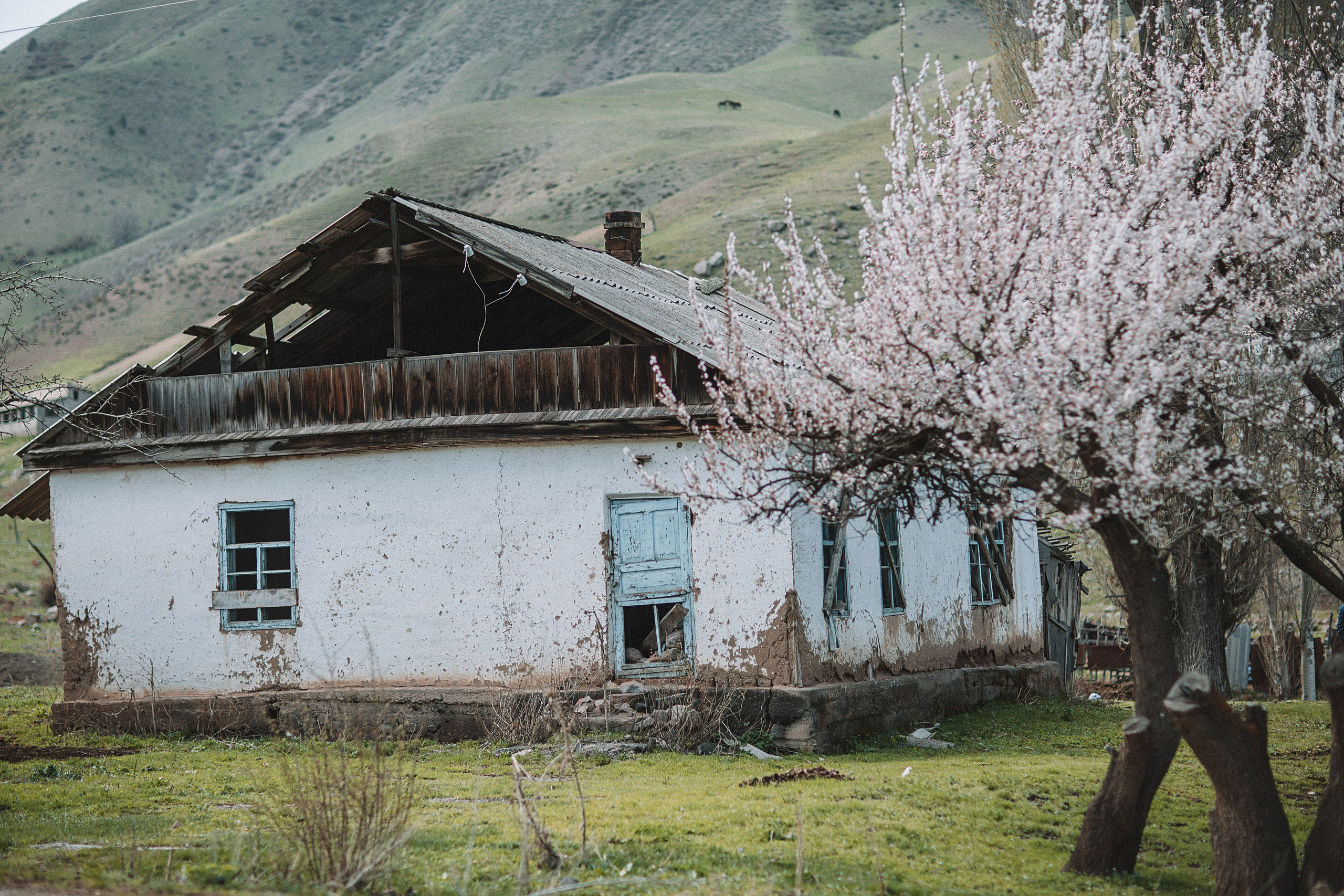 Семейная фотосессия в горах. Свадебный и семейный фотограф/видеограф в Краснодаре Наталья Осинская