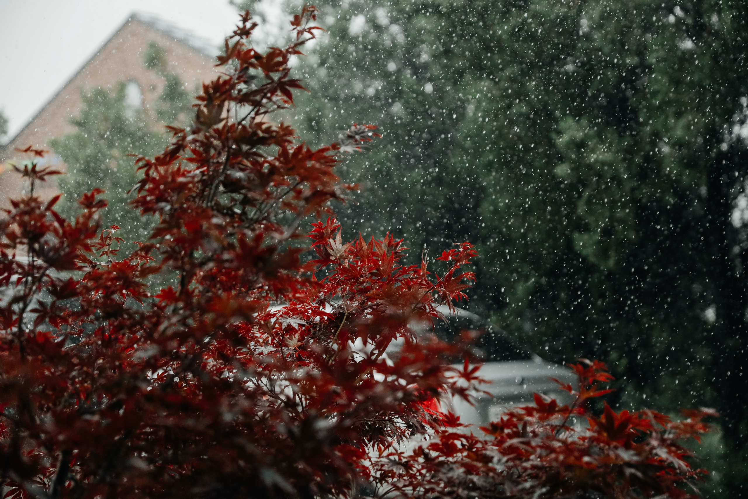 Нас венчала гроза. Свадебный и семейный фотограф в Варшаве
