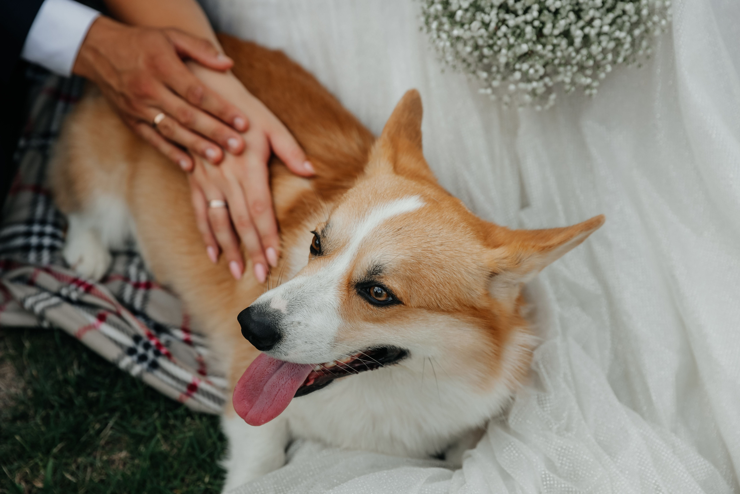 Нас венчала гроза. Свадебный и семейный фотограф в Варшаве