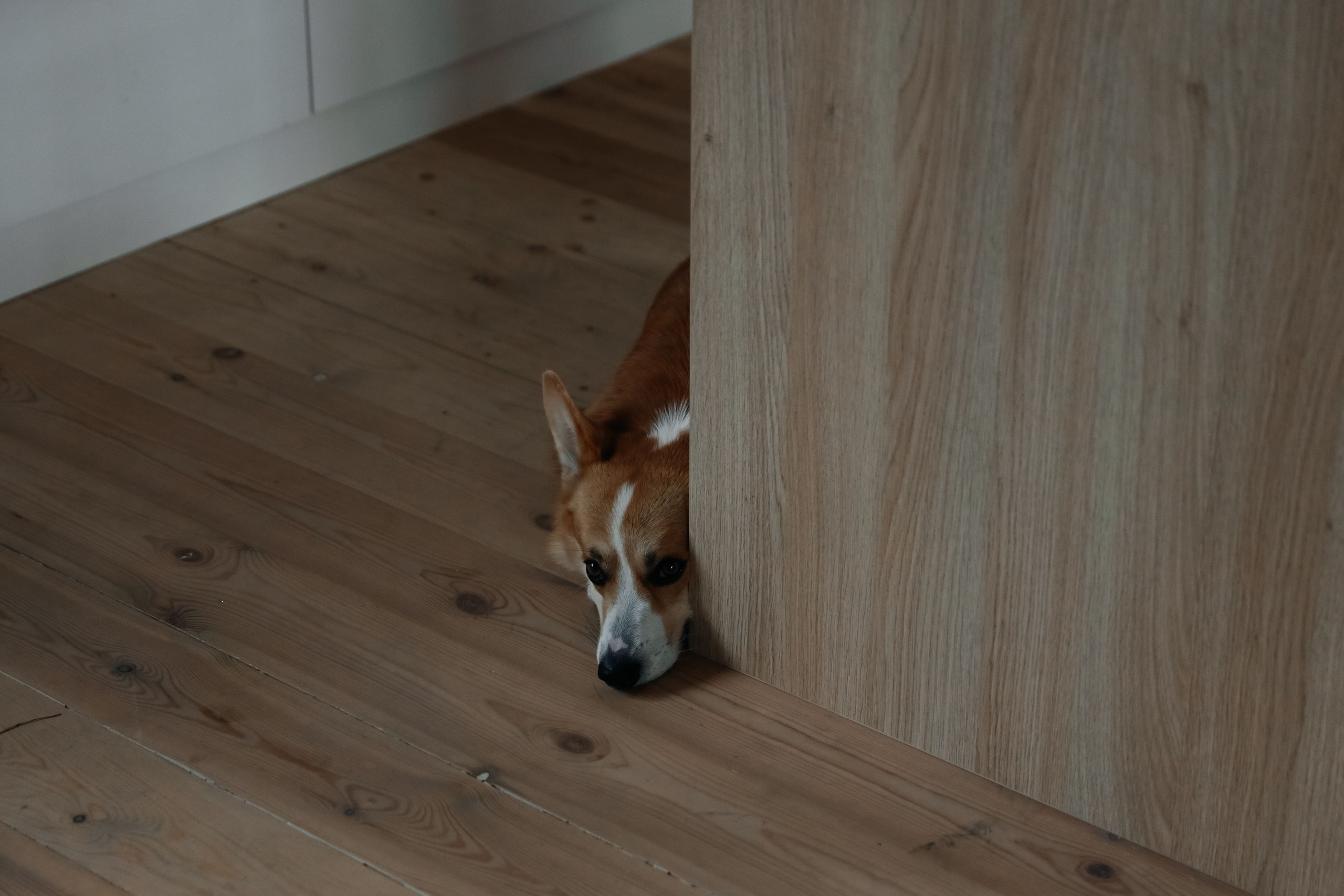 Нас венчала гроза. Свадебный и семейный фотограф в Варшаве