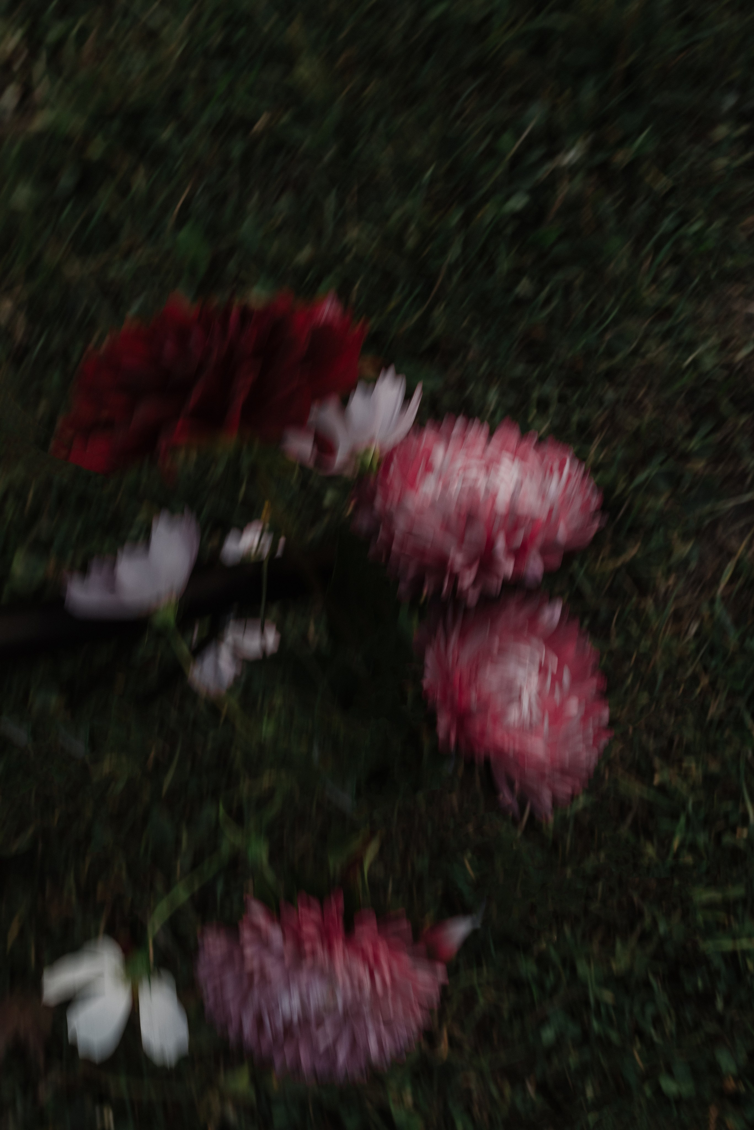 Оксана. Фотограф Анна Абрикосова