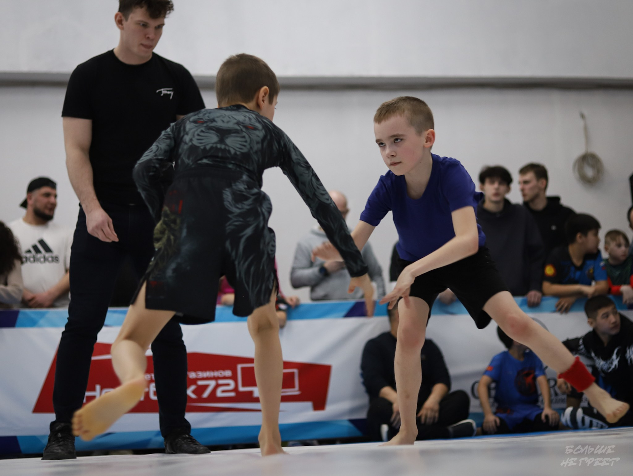 GORILLA PRIDE CUP. Больше не греет