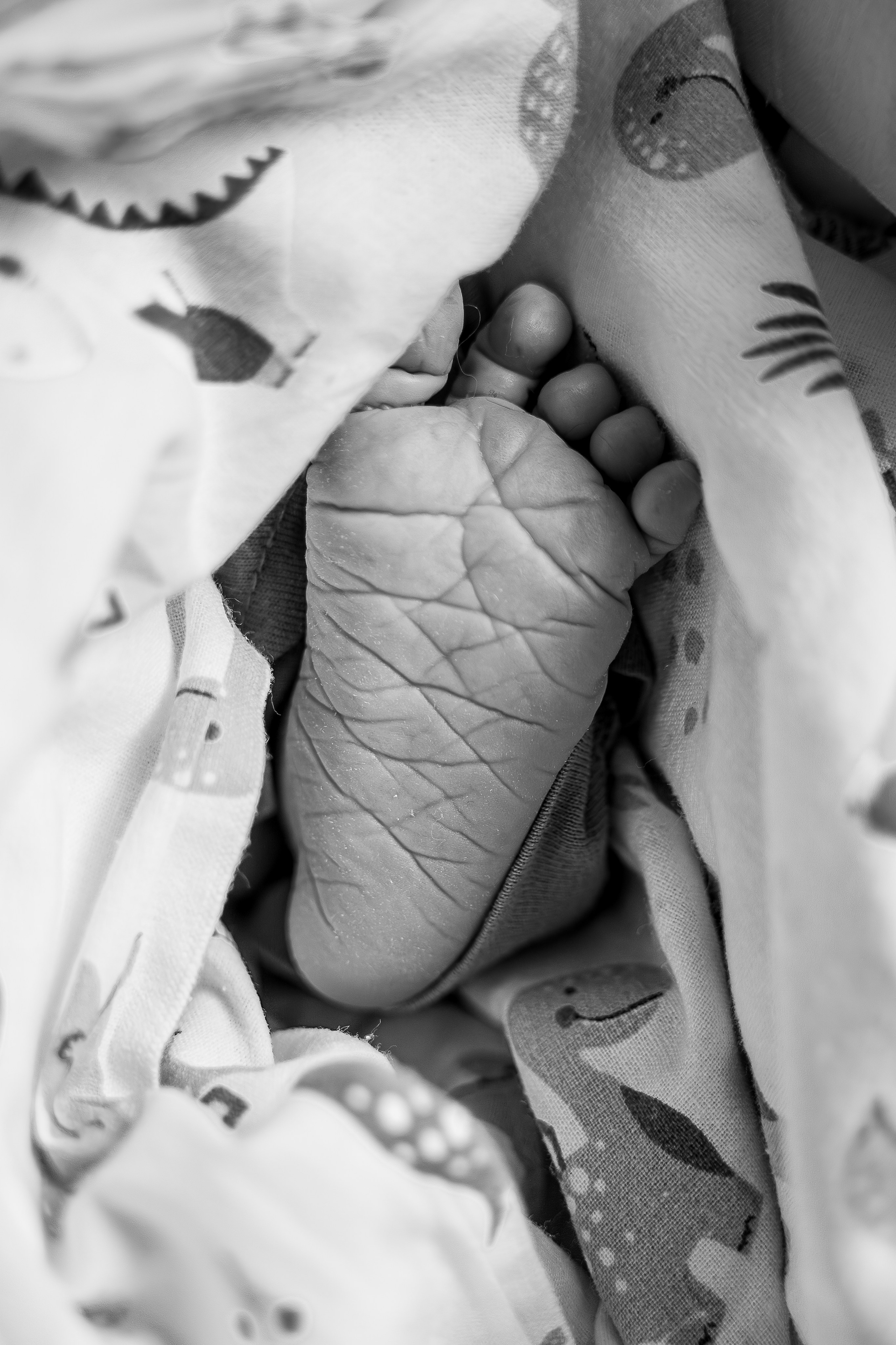 Давид. Фотограф на роды Москва Ольга Летучева