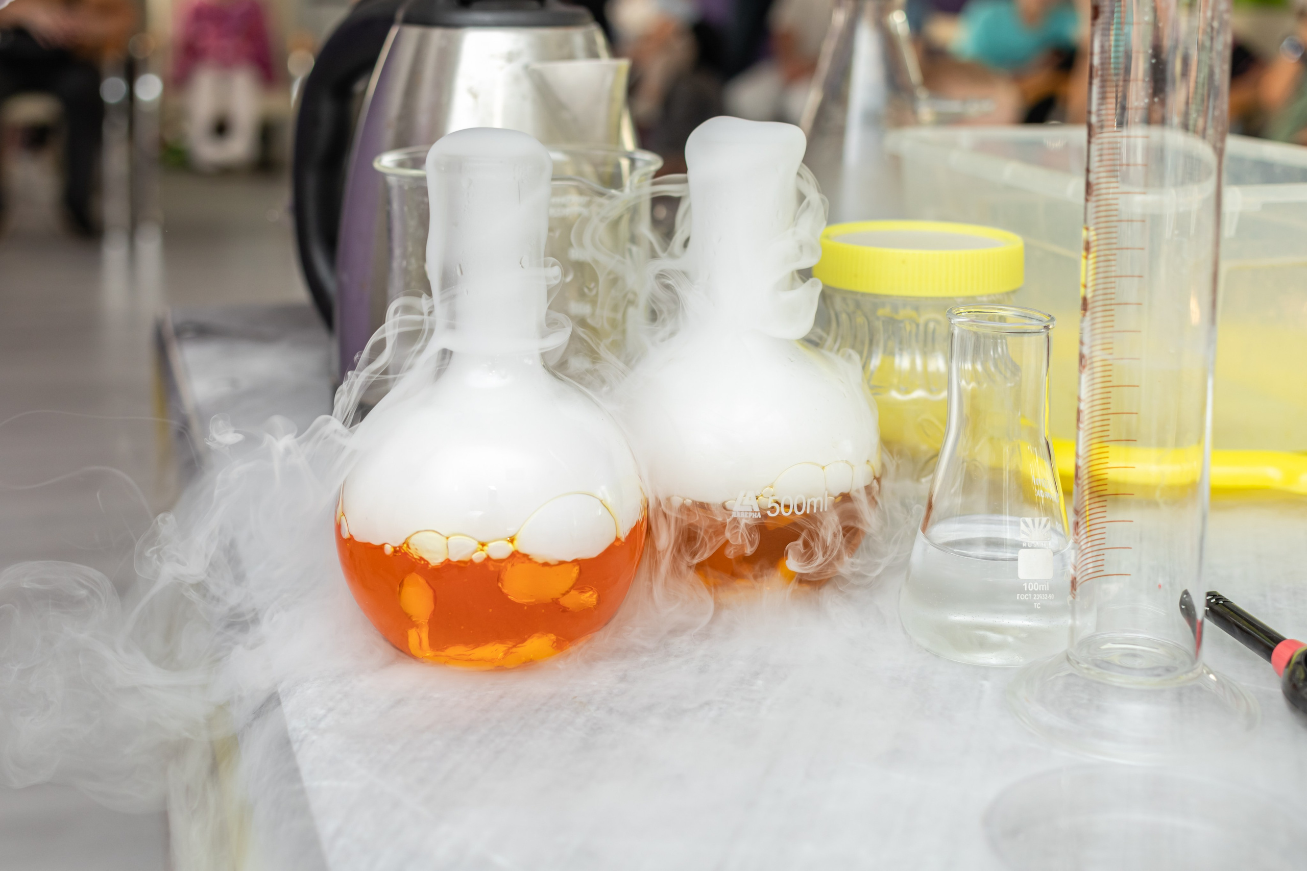 Открытие студии Клевер. Фотограф Алина Гашникова