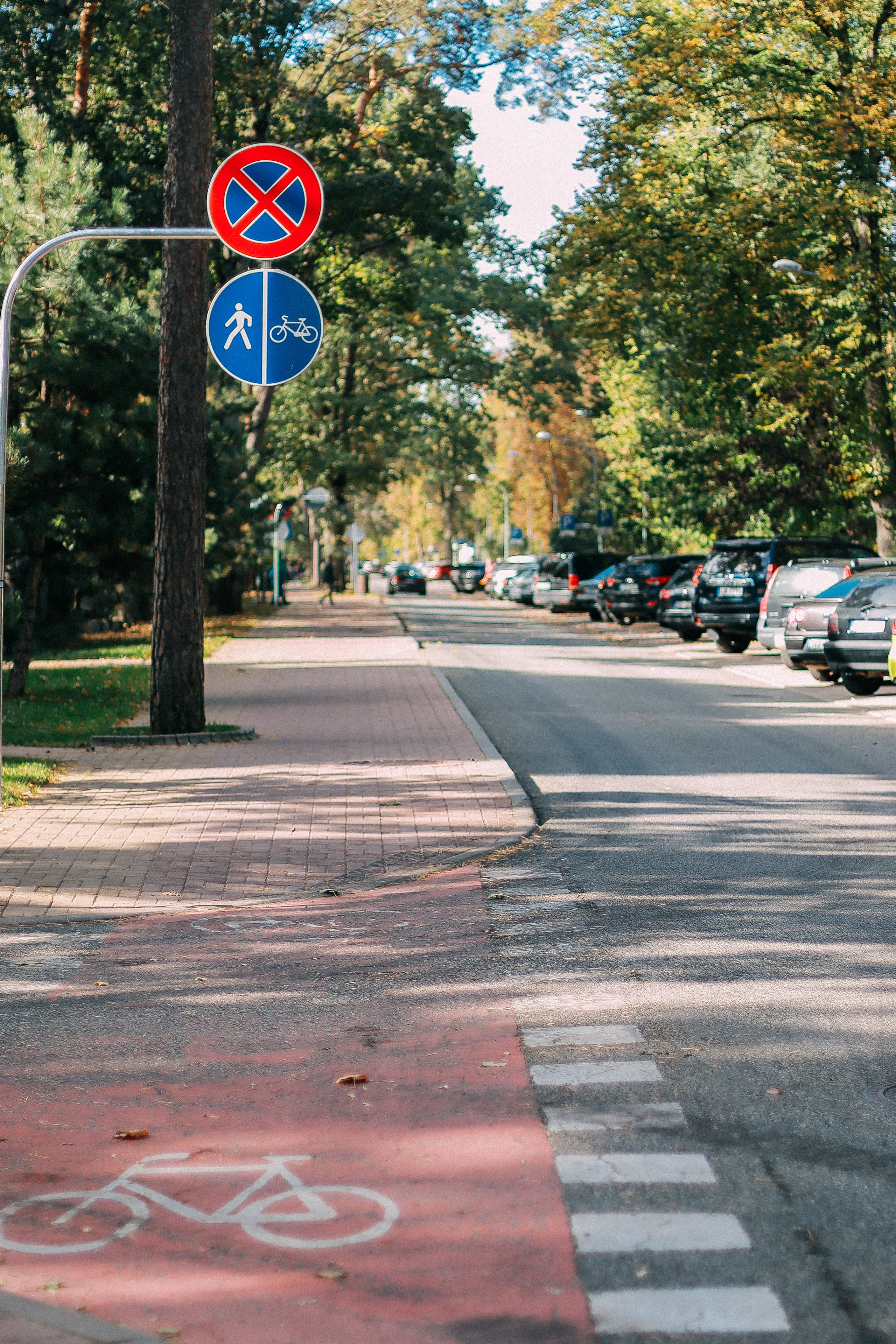 Латвия. Аня Степанова