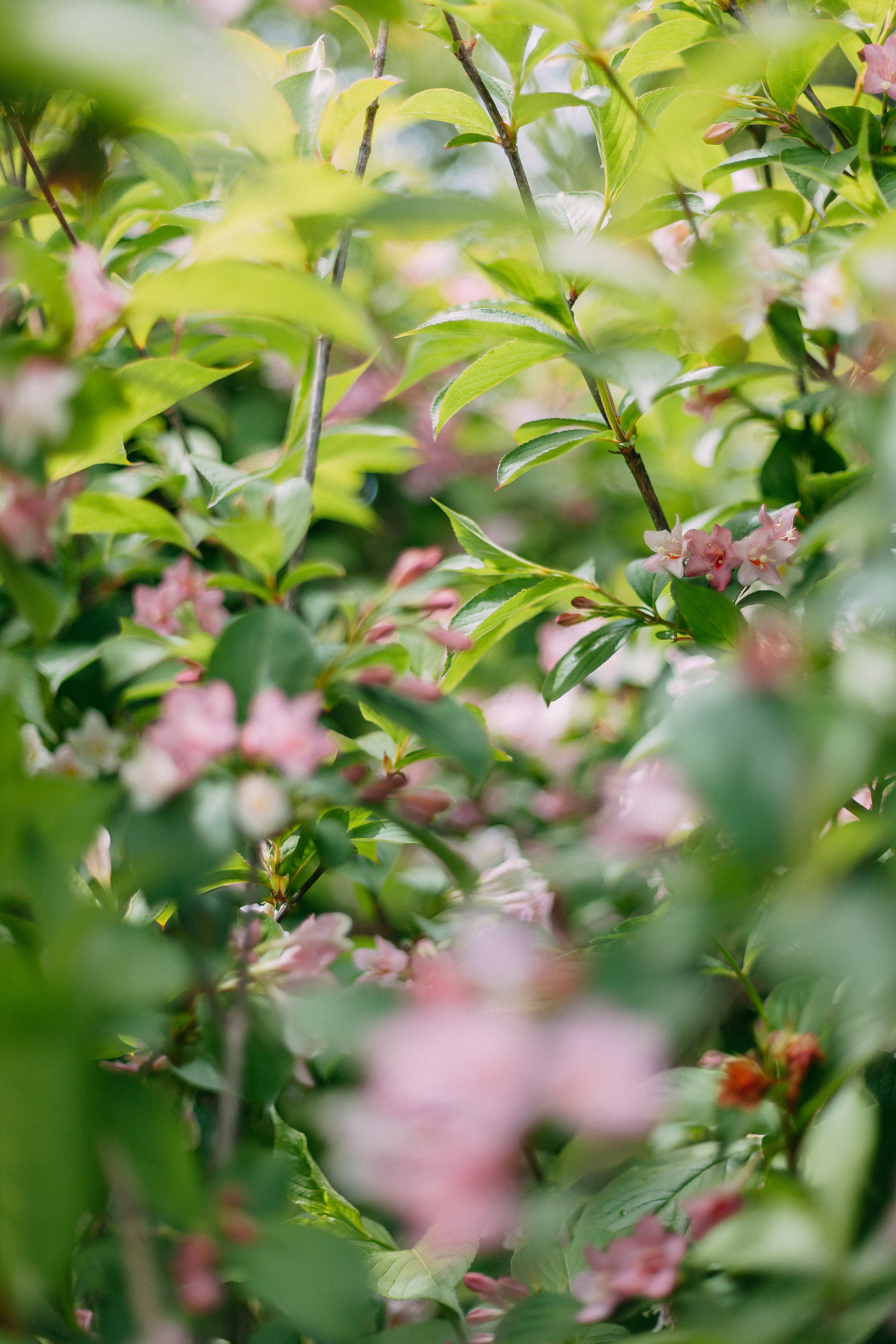 Сочи. Аня Степанова