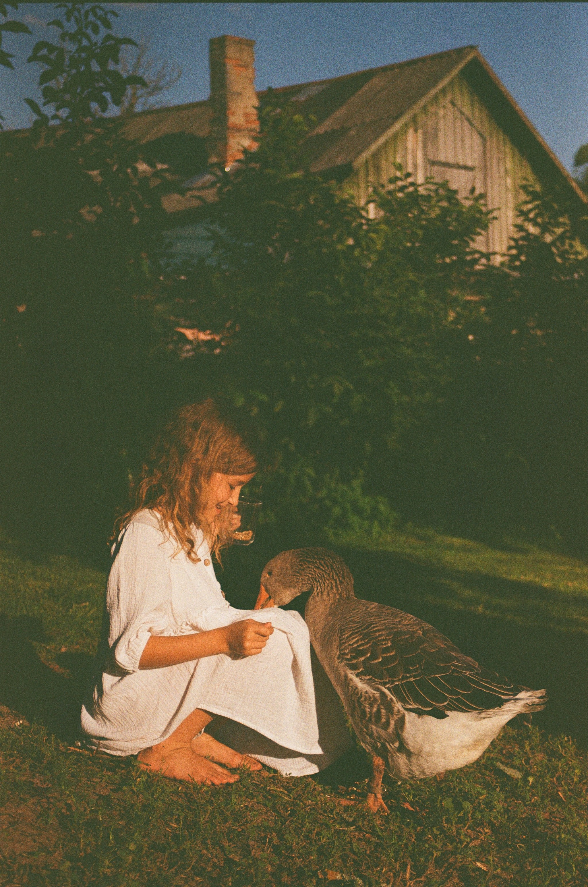 Девочка с гусем