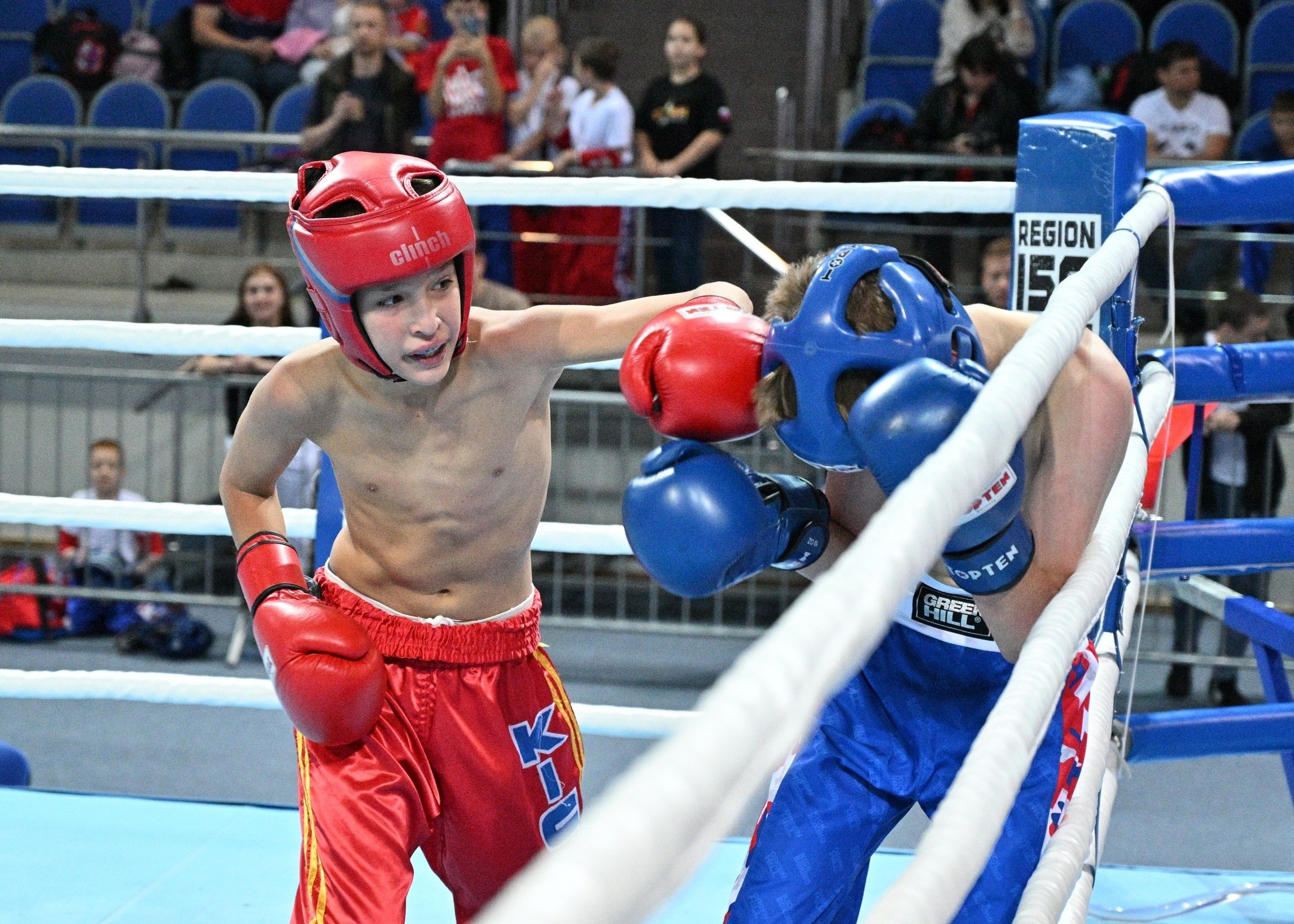 Единоборства. Профессиональный фотограф ДМИТРИЙ ЕГОРОВ