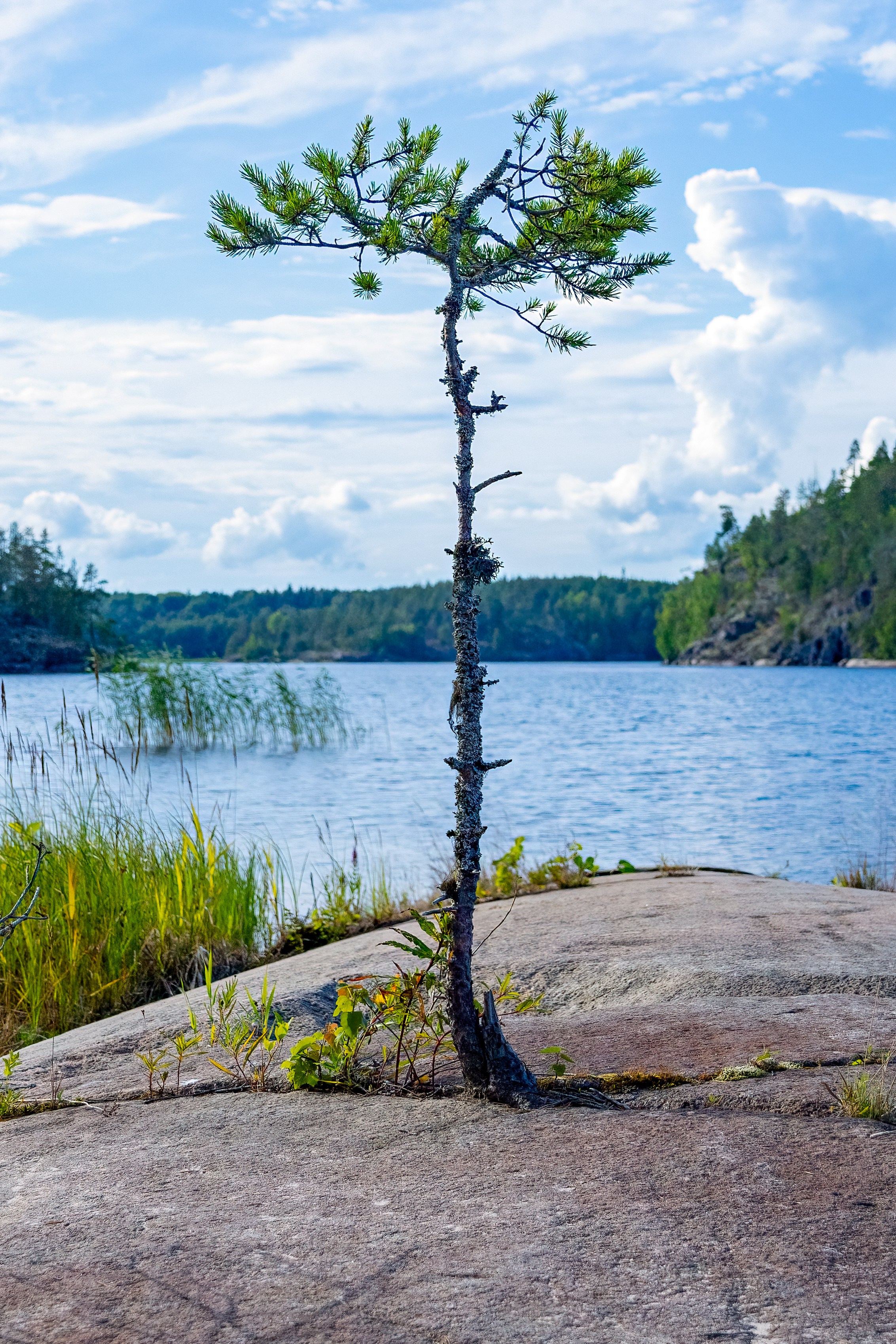 Ладожское озеро. Аэросъемка. Фото и Видео в Карелии. Алексей Фрилунд