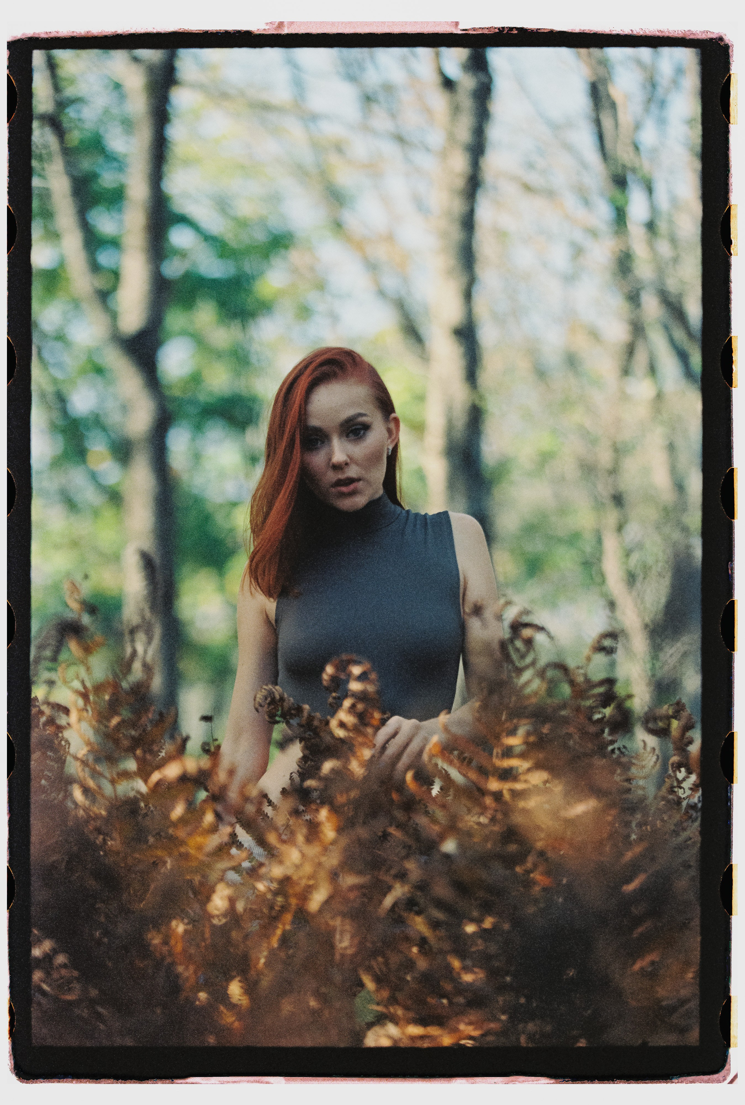 Поляна раздора