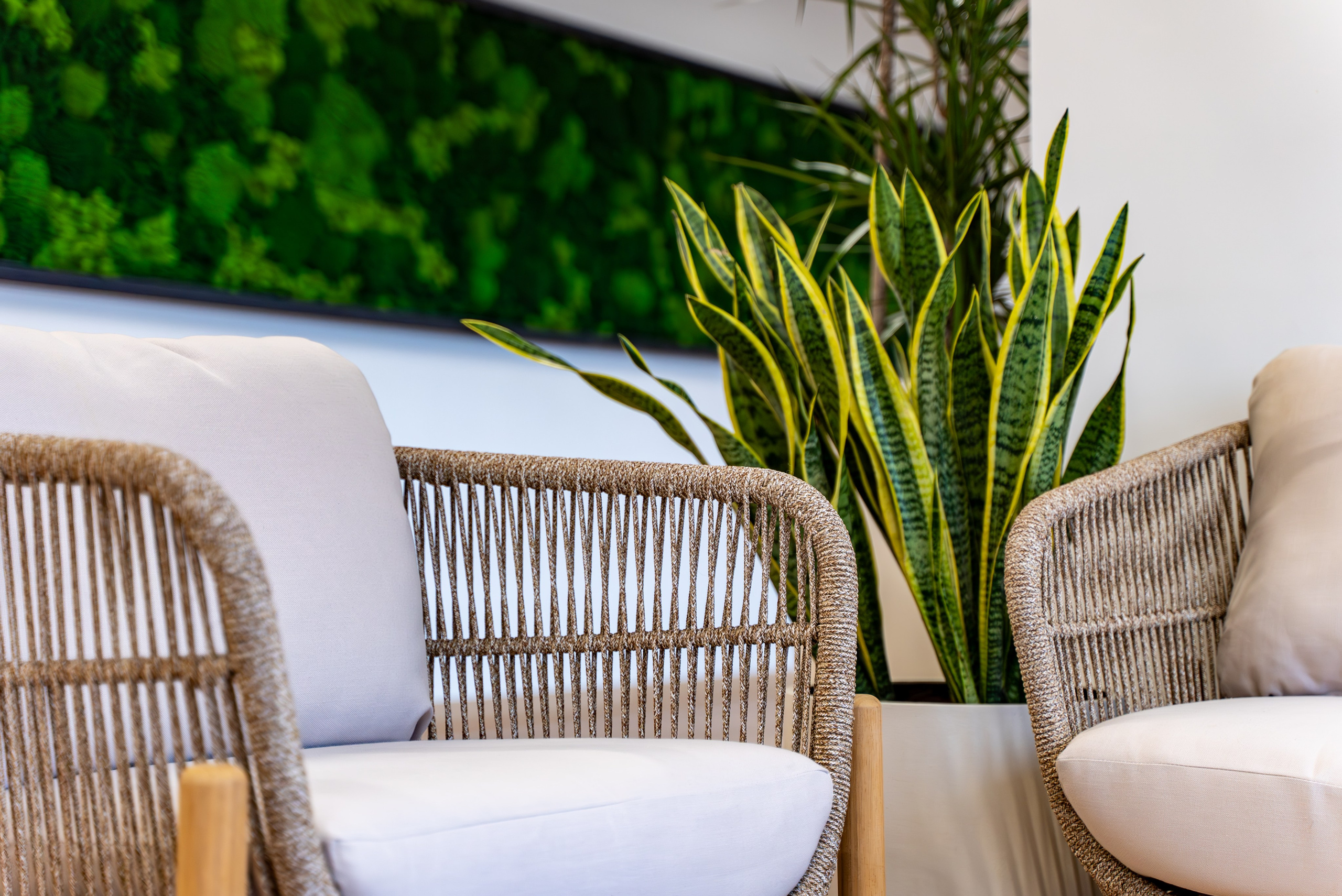 Индустриальный парк — озеленение. KUSTOV PRODUCTION — профессиональная фотосъёмка в Москве