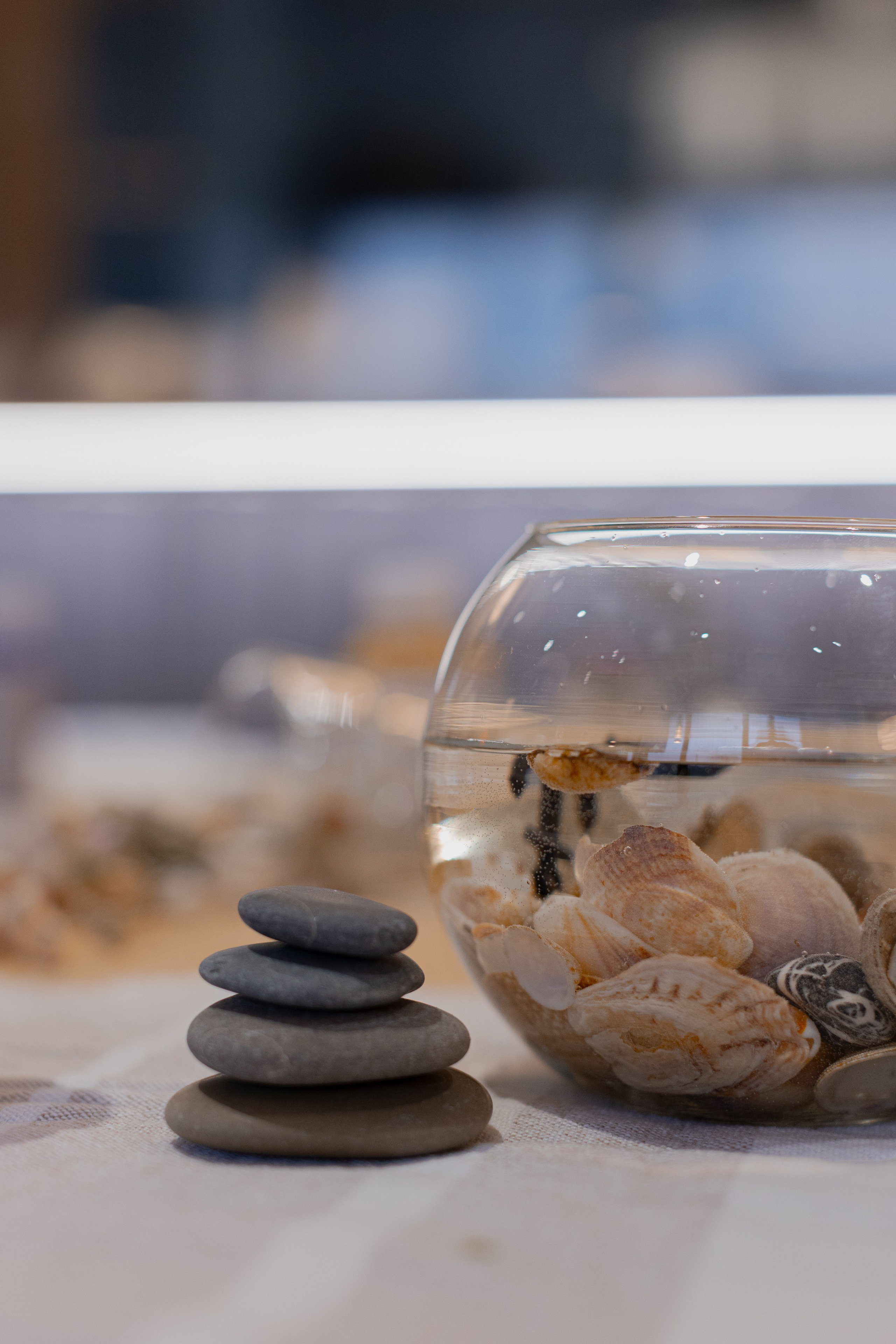 МК Море. Анастасия Ракчеева Художник