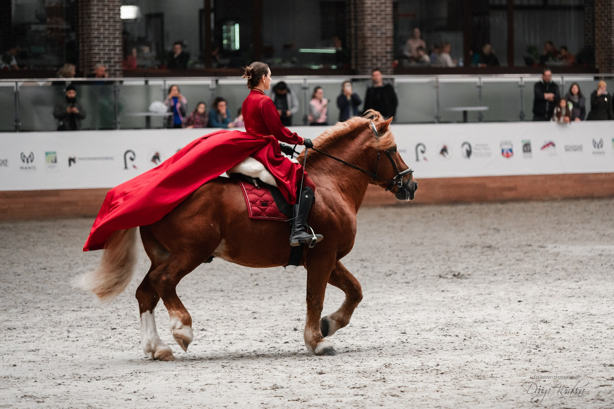 8-я международная выставка Конная Россия. Конный фотограф Куракина Дарья • Фотосессии с лошадьми