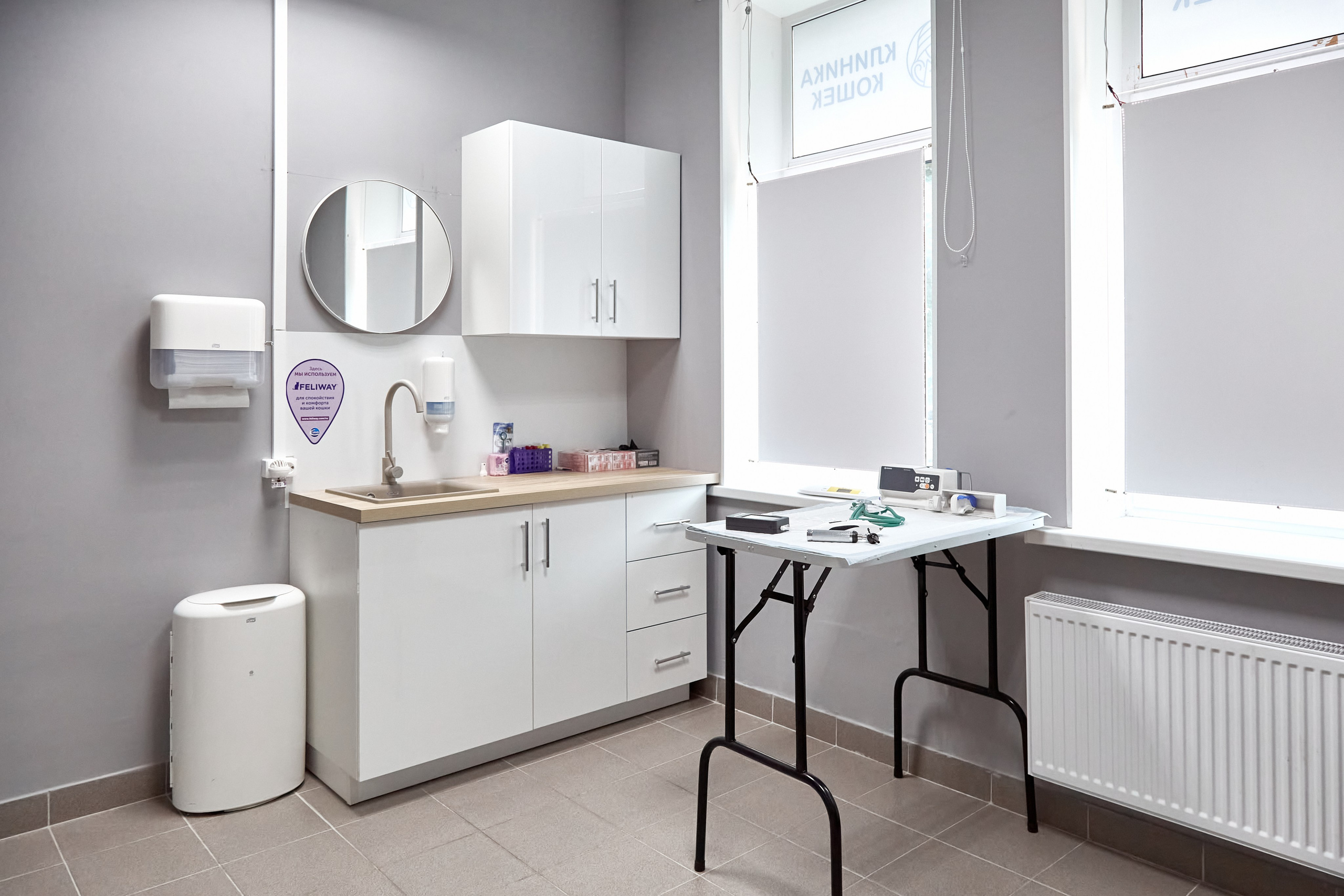 Клиника кошек. Фотограф Анастасия Леонтьева Санкт-Петербург