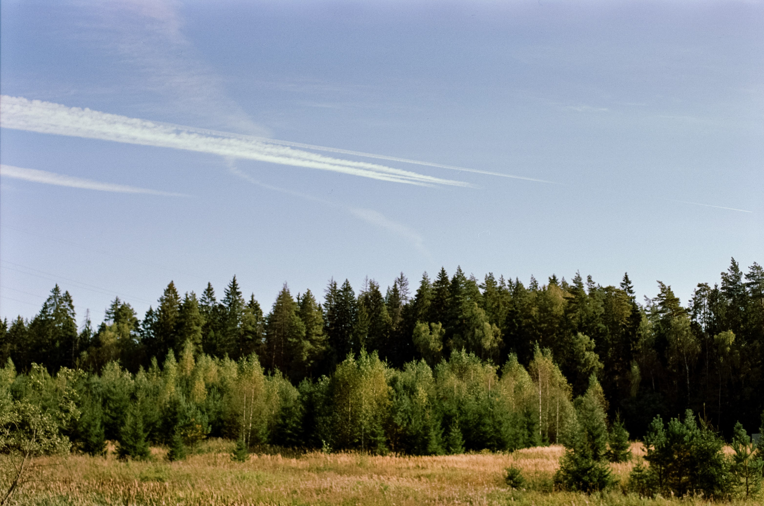 Mamiya-Sekor C 45mm f2.8 N обзор и примеры фотографий