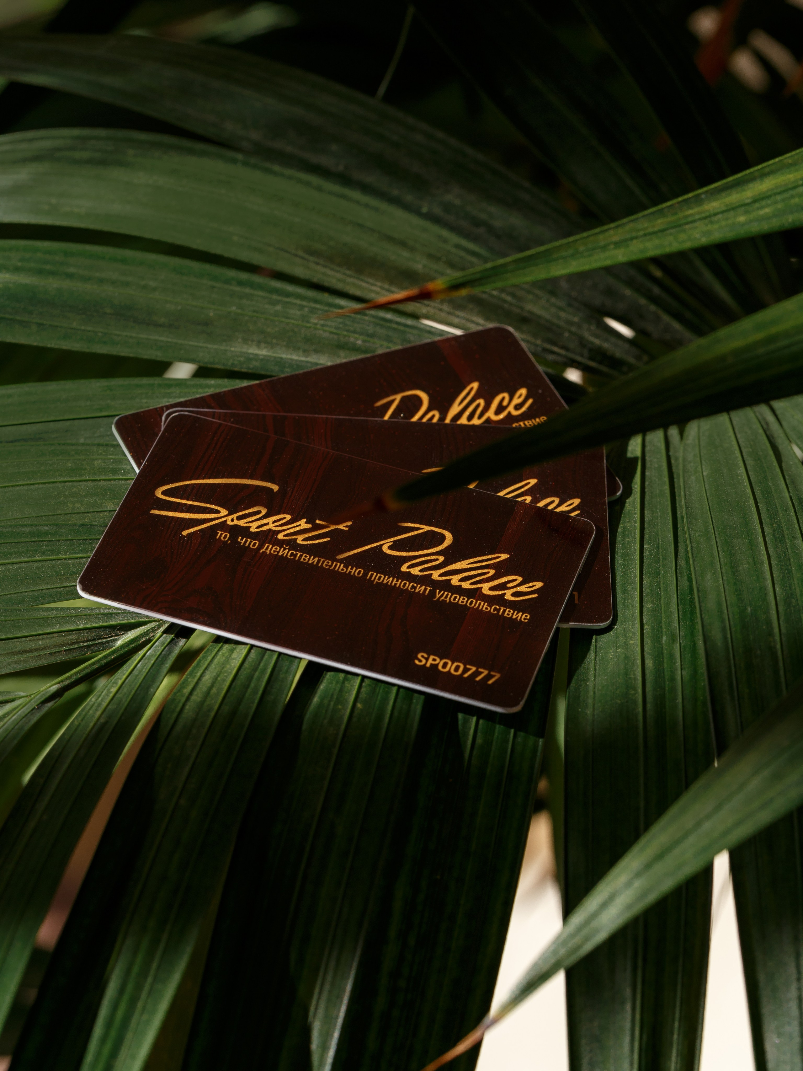 Advertising. Commercial product and food photographer, retoucher Belgrade, Serbia