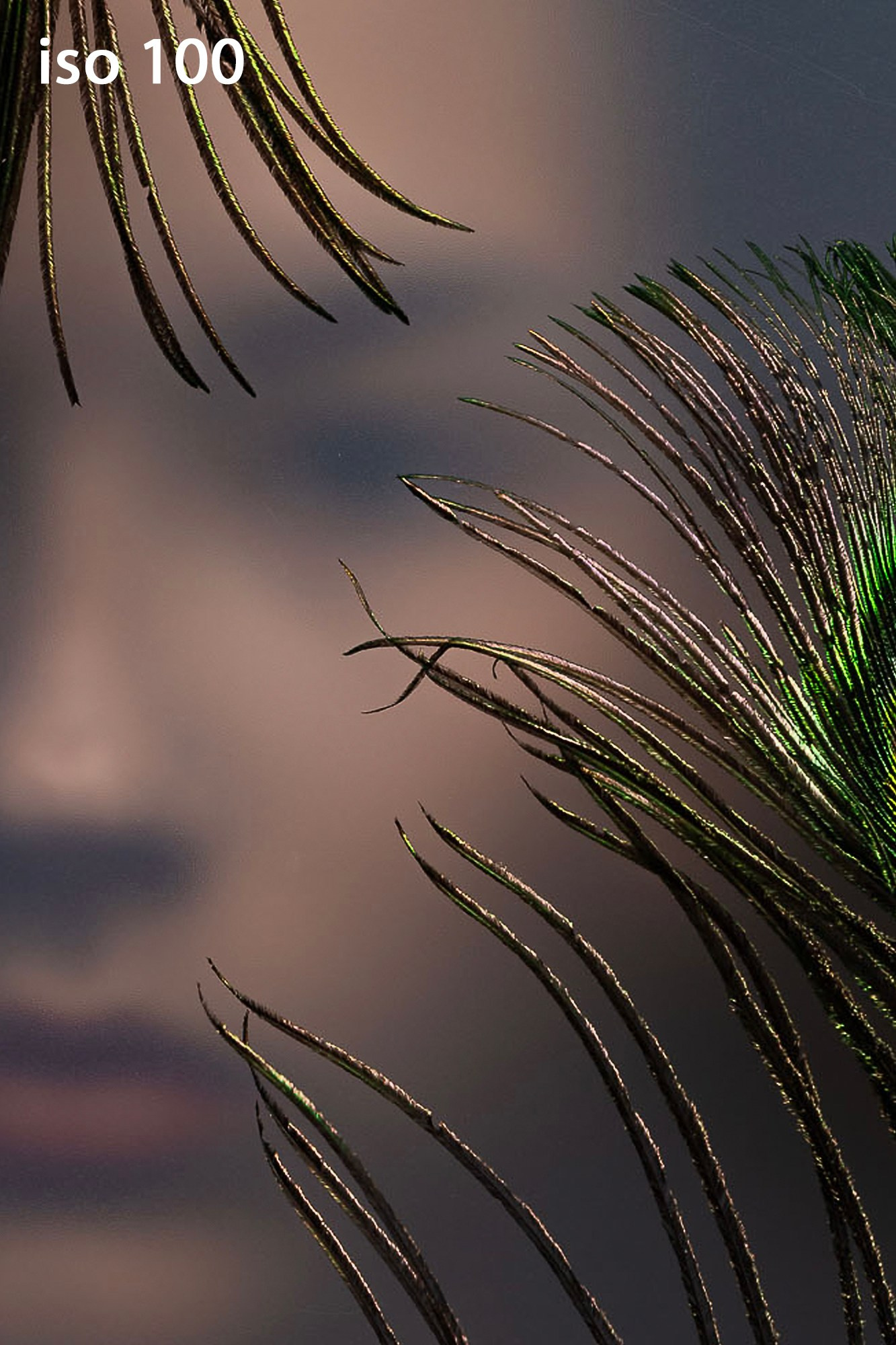 Фотошкола FOTOFQSKOOL: очное и онлайн обучение для всех уровней. FOTOFAQ SKOOL г. Санкт-Петербург: очные, дистанционные и онлайн курсы фотографии