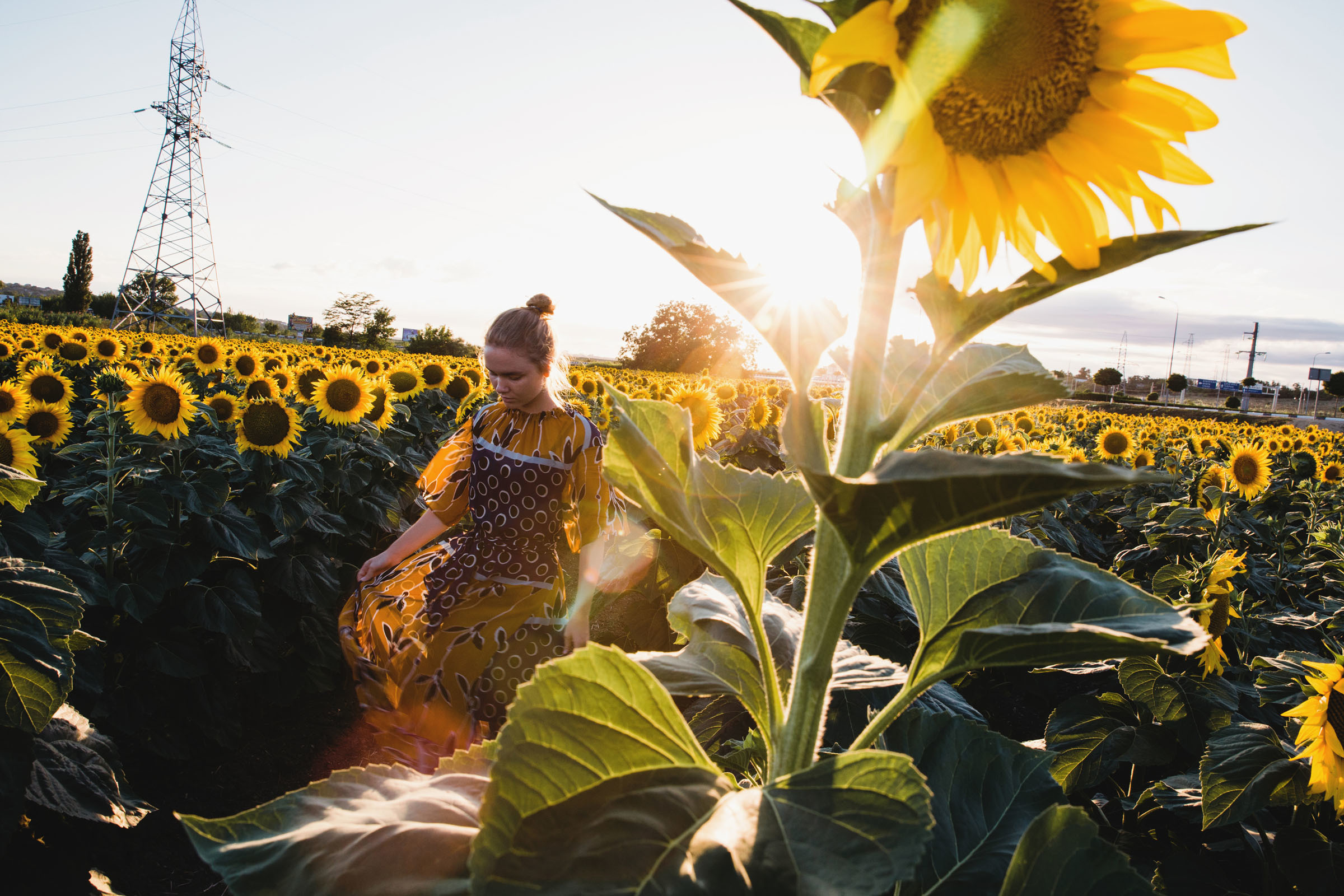 Диковинные подсолнухи и диковинное платье //Наталья. Фотограф Алутера Ирина