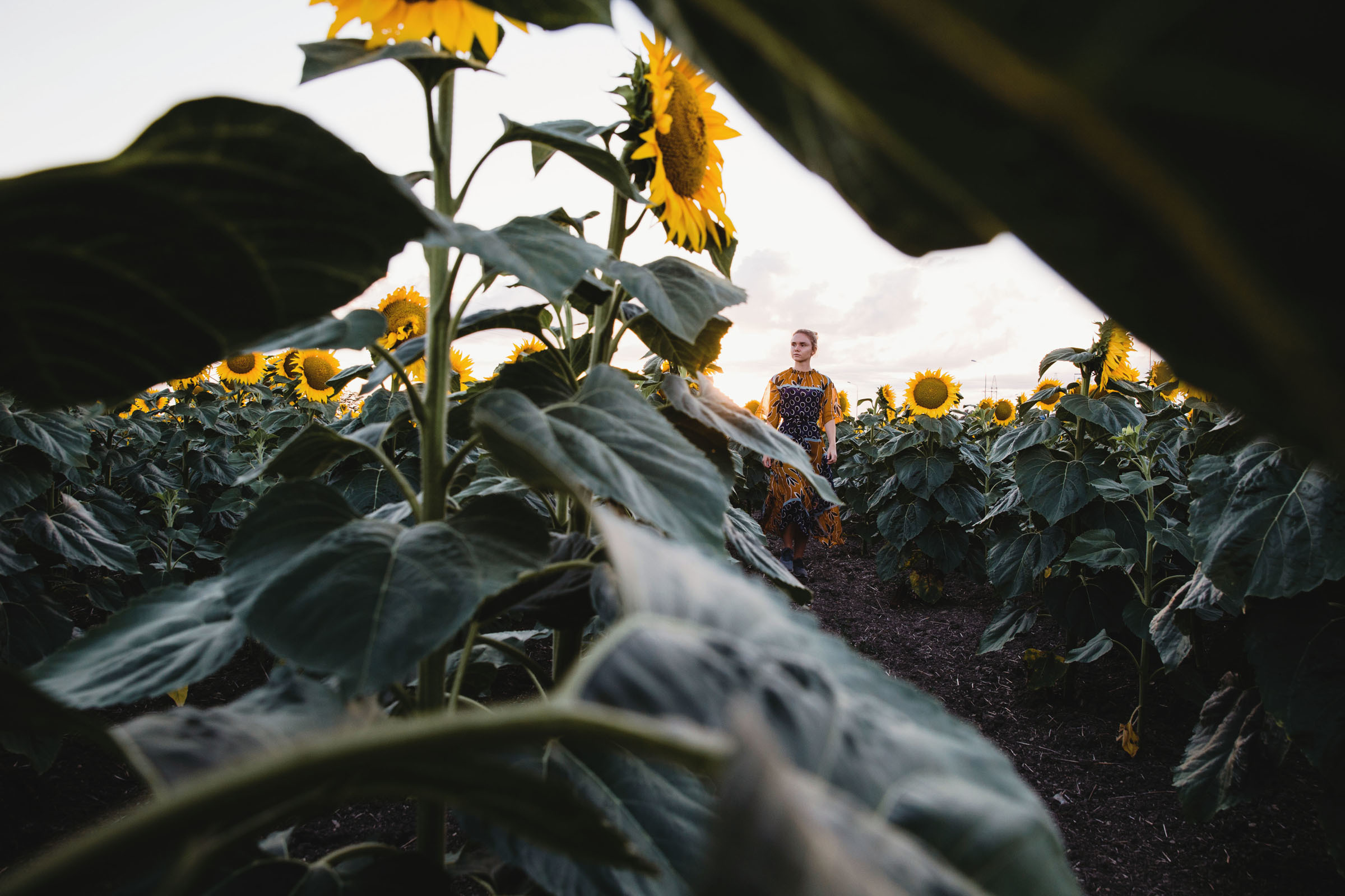 Диковинные подсолнухи и диковинное платье //Наталья. Фотограф Алутера Ирина