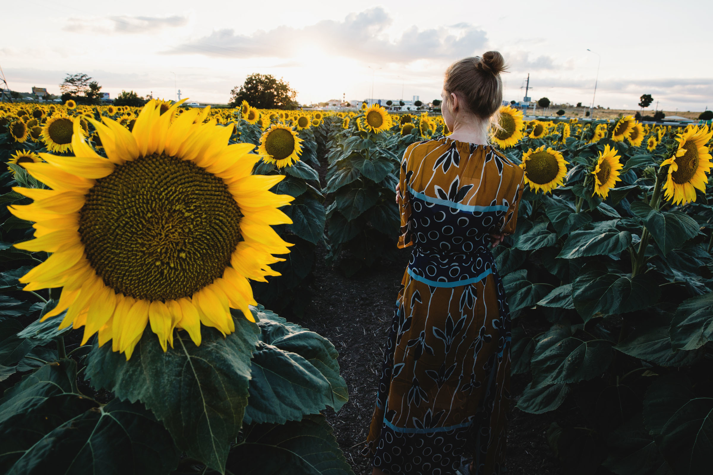 Диковинные подсолнухи и диковинное платье //Наталья. Фотограф Алутера Ирина