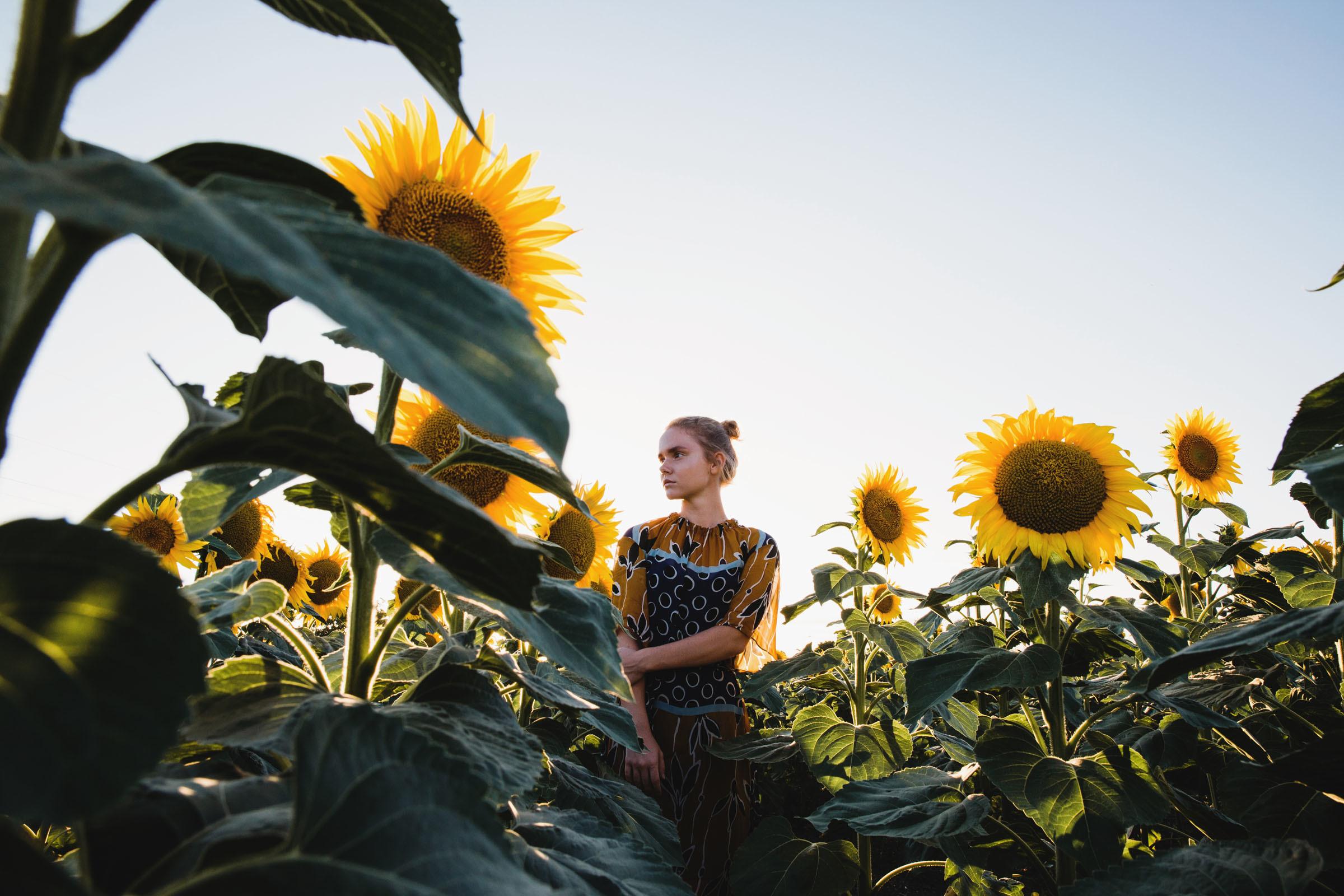 Диковинные подсолнухи и диковинное платье //Наталья. Фотограф Алутера Ирина