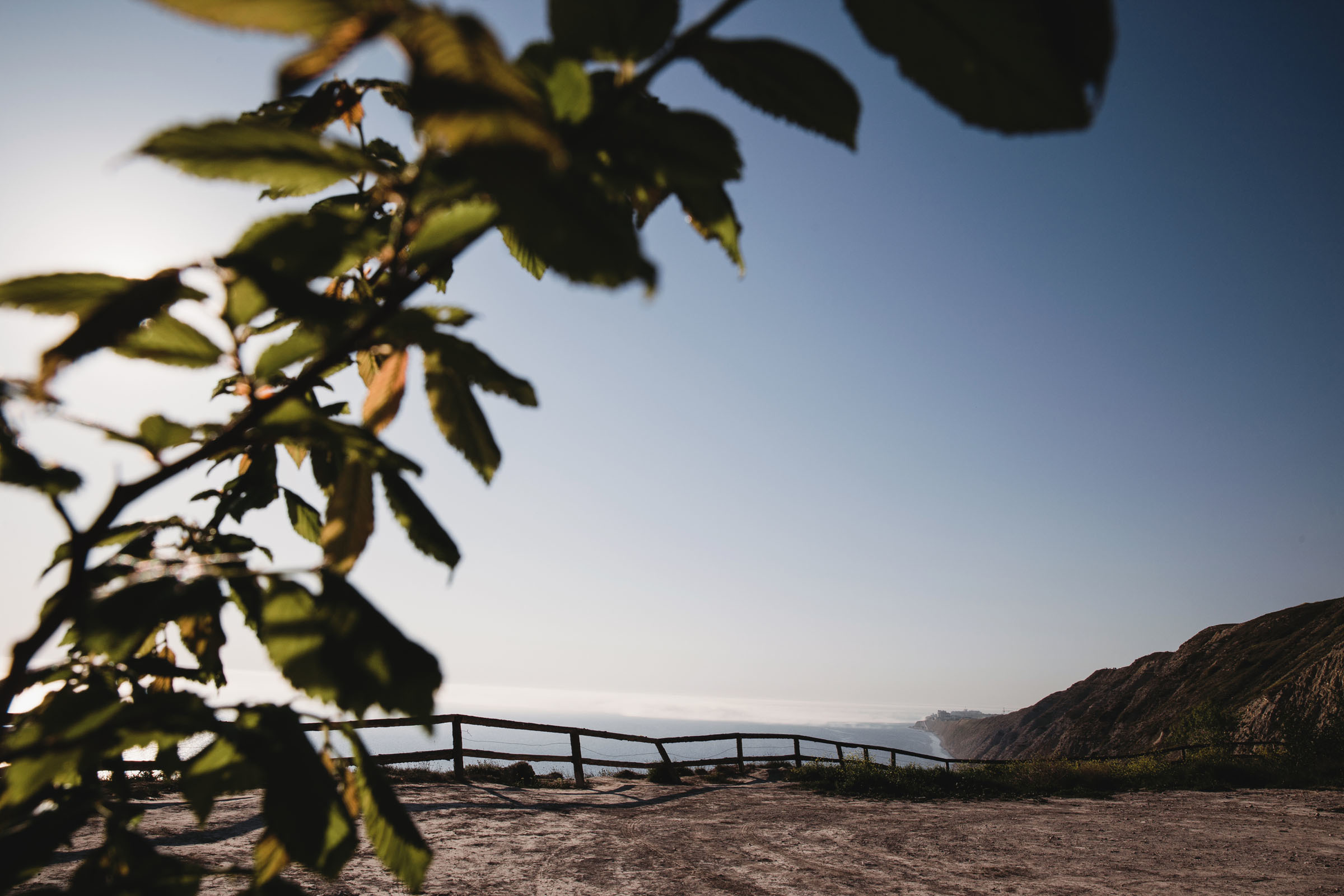 Мне тебя обещали //Дарья&Сергей. Фотограф Алутера Ирина