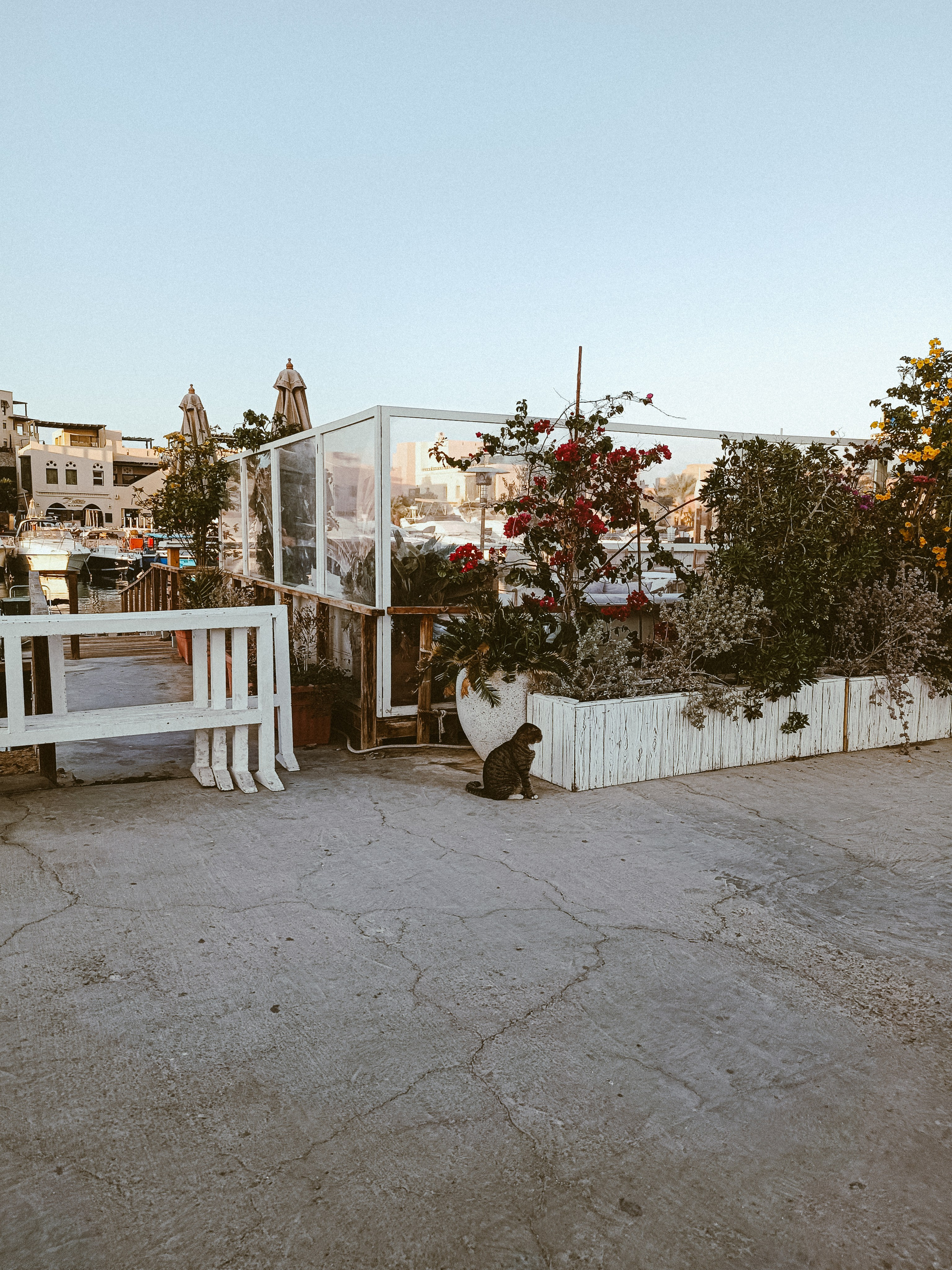 Мобильная. Jorgis — фотограф в Хургаде / обучение фотографии