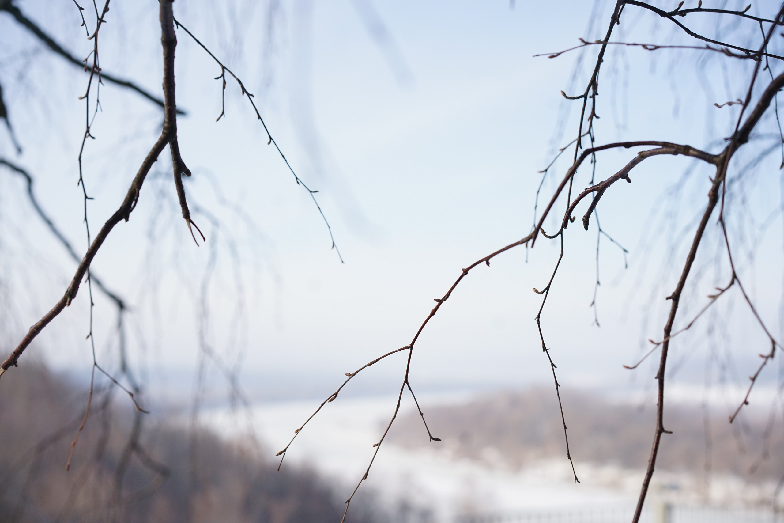 Бёхово. Лиза Фирстова — самый добрый фотограф