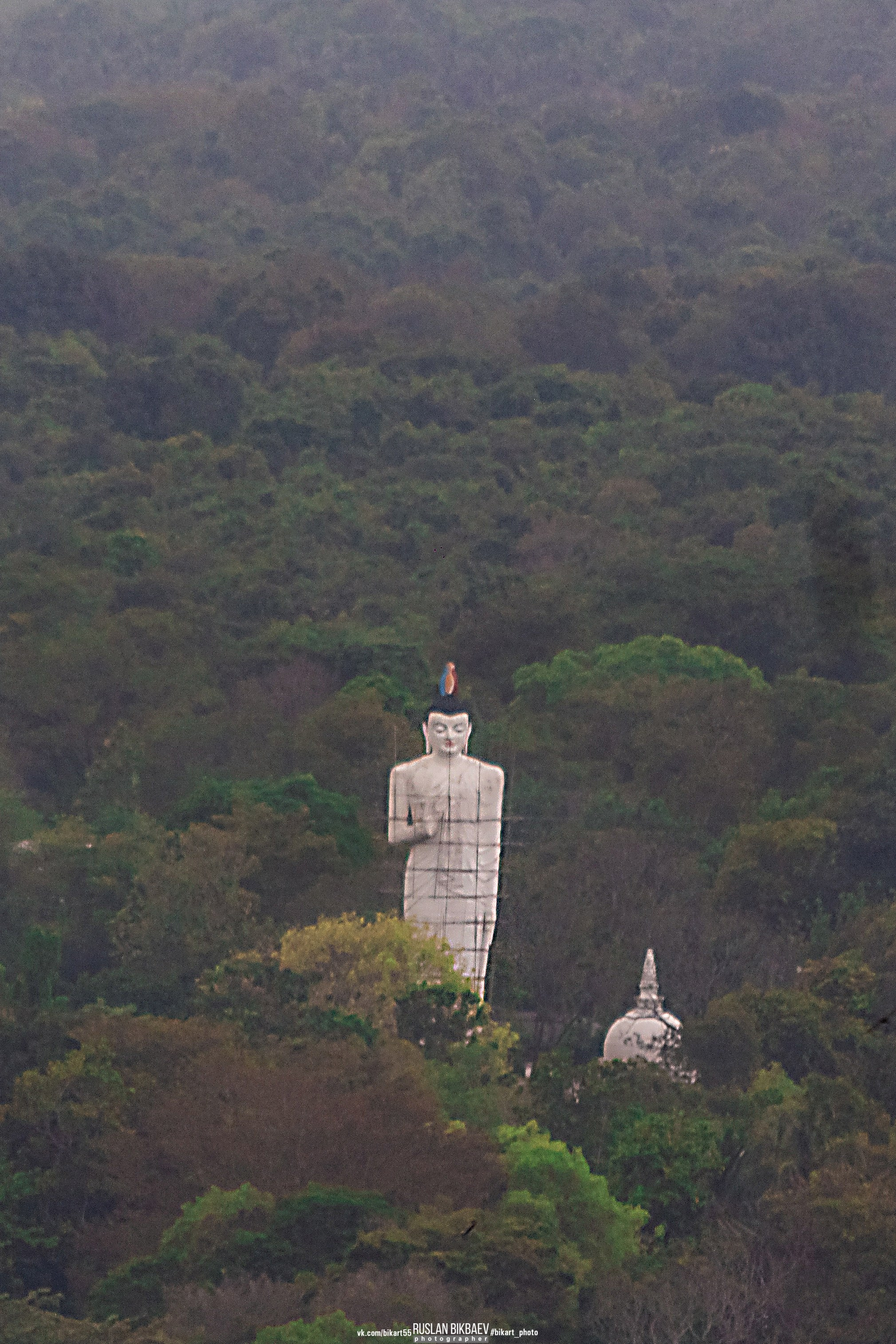 ШРИ-ЛАНКА 2025 / SRI LANKA 2025. Главная