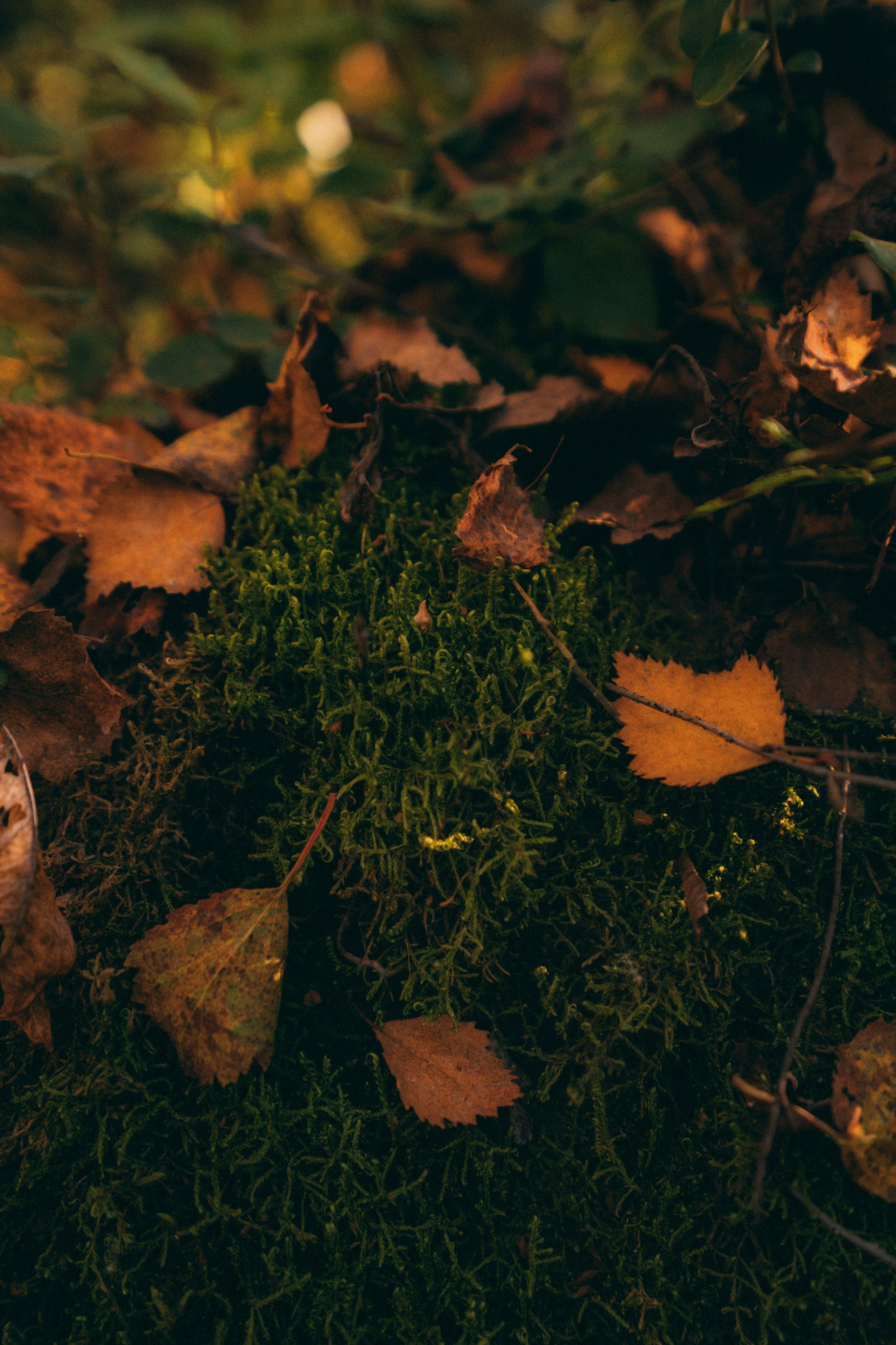 Мурманск. Фотограф Алиса Аспер