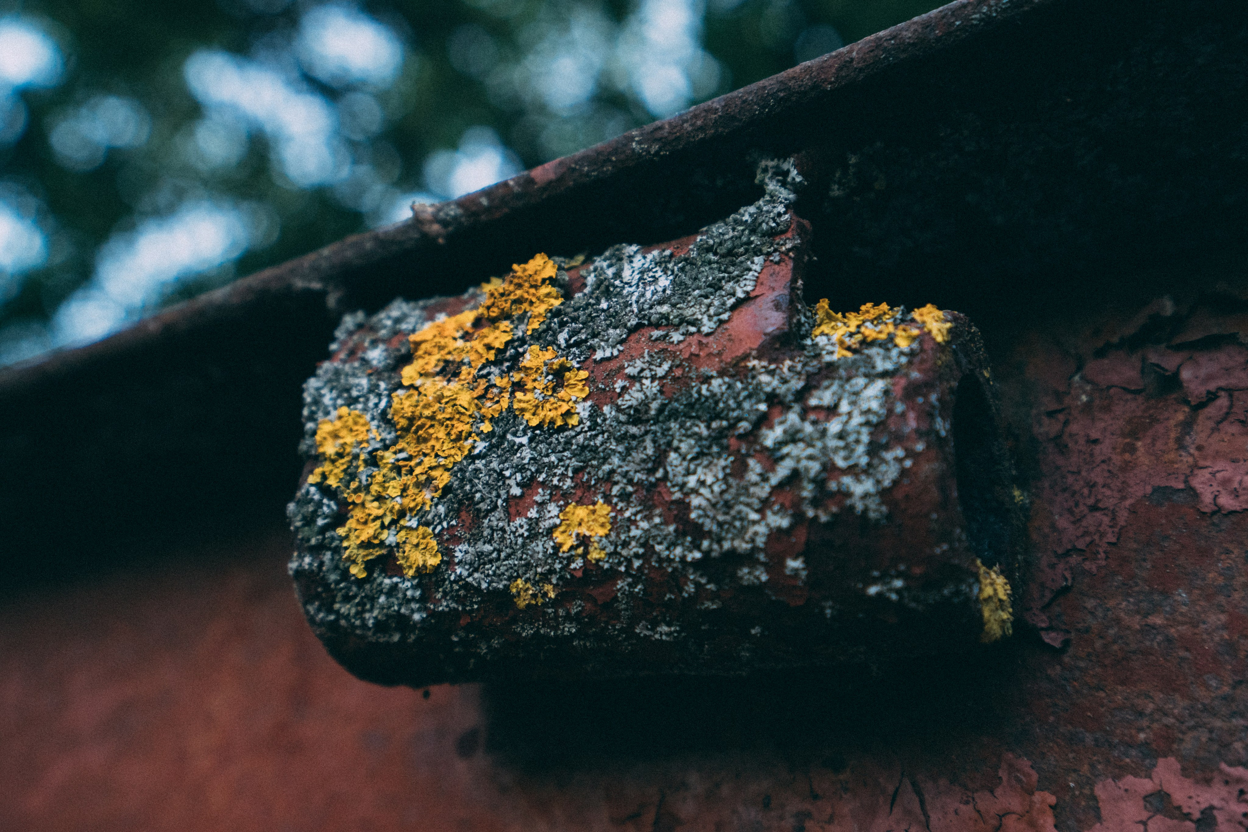 Белгород. Фотограф Алиса Аспер